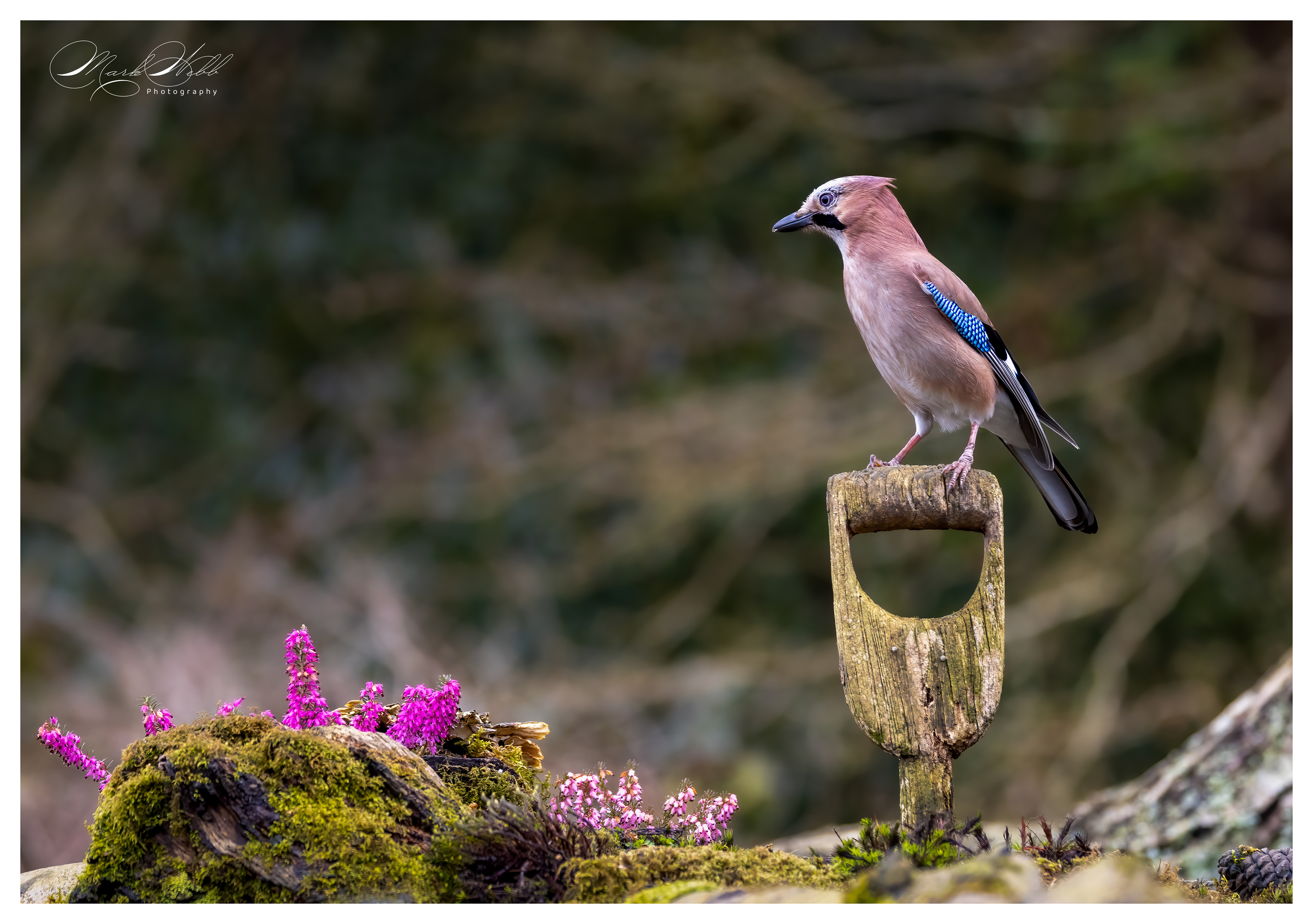Jay Bournemouth March 2024