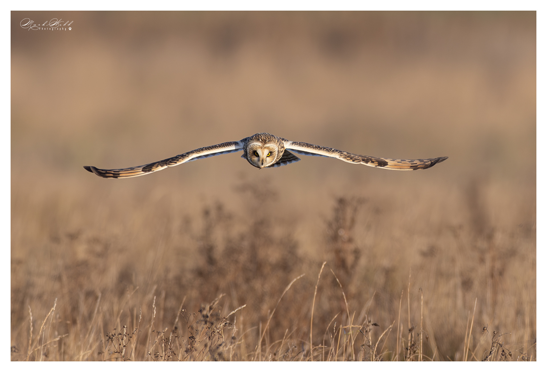 SEO Burwell Fen December 2023