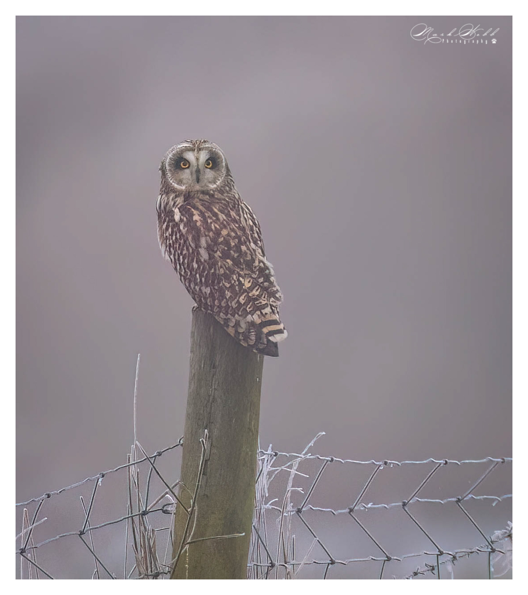 SEO Burwell Fen December 2023