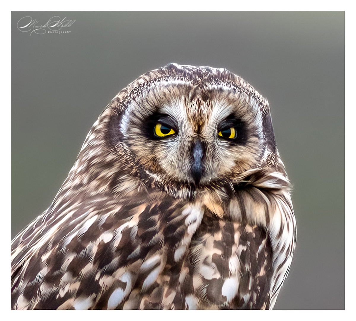 SEO Wallasea Island February 2024