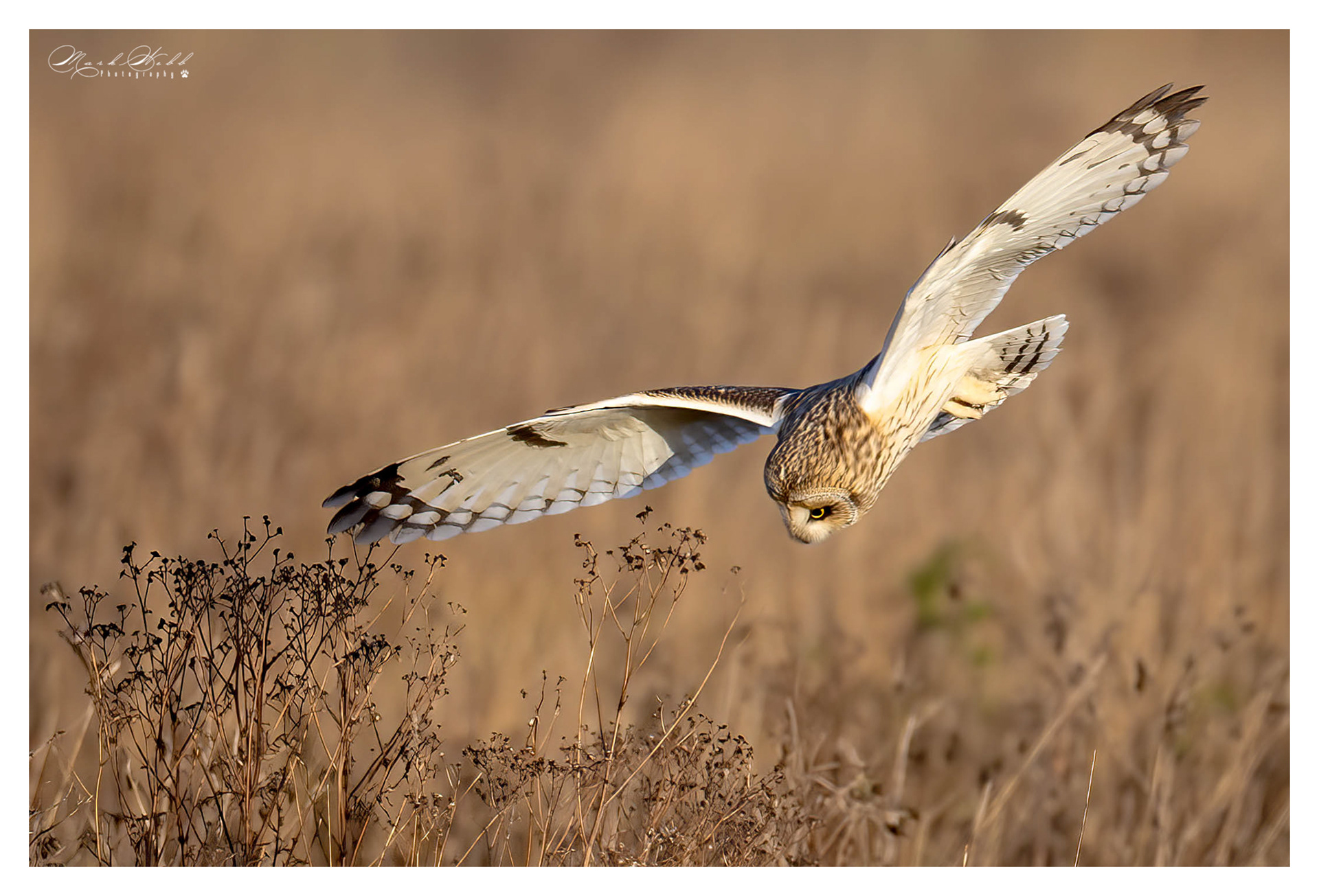 SEO Burwell Fen December 2023