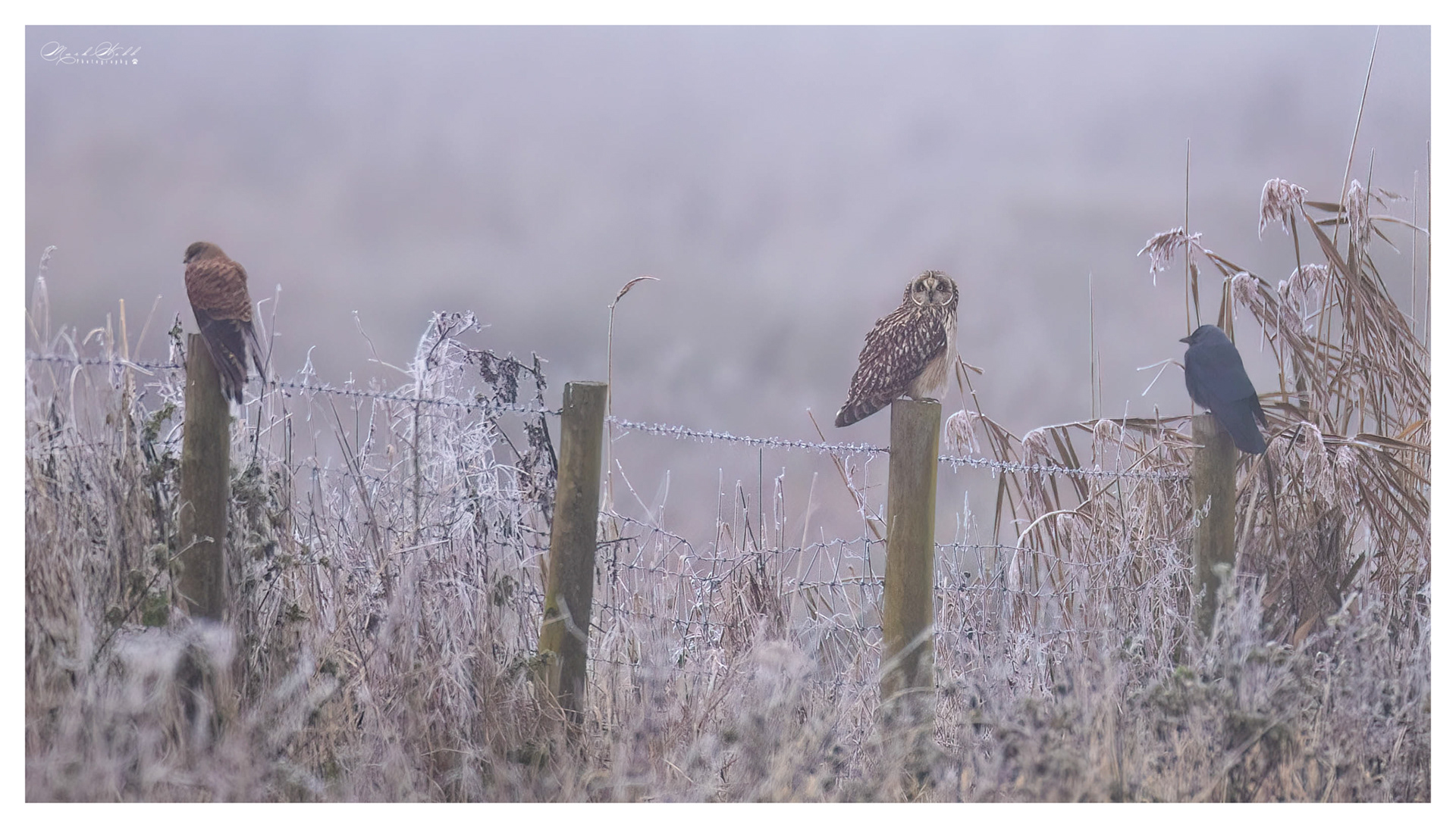 SEO Burwell Fen December 2023