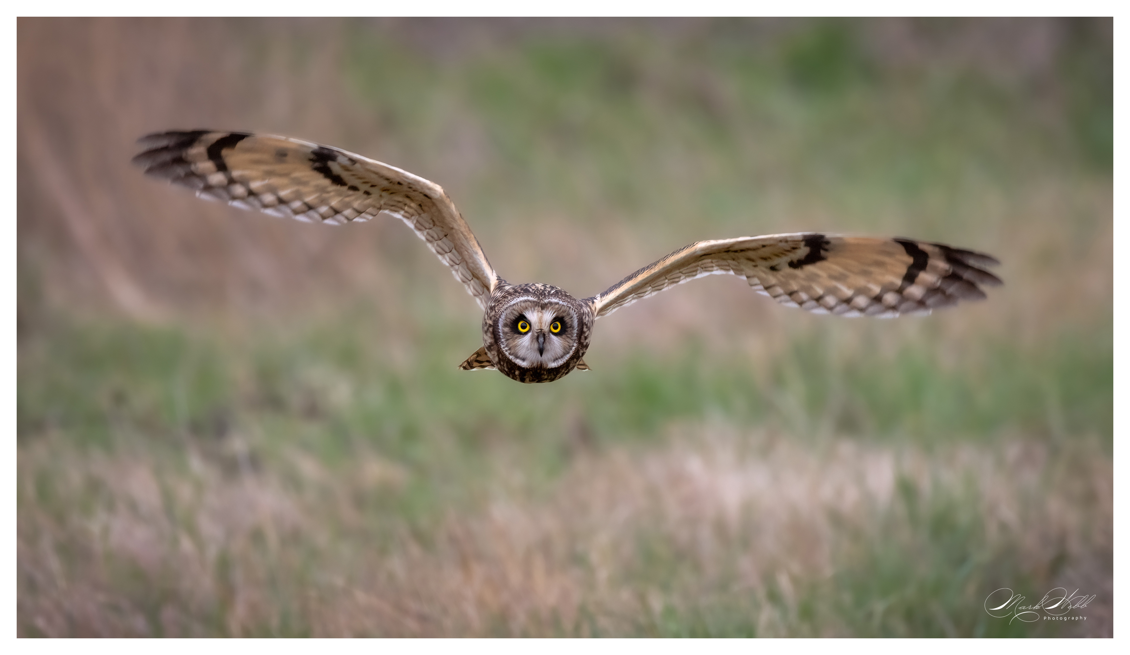 SEO Wallasea Island February 2024