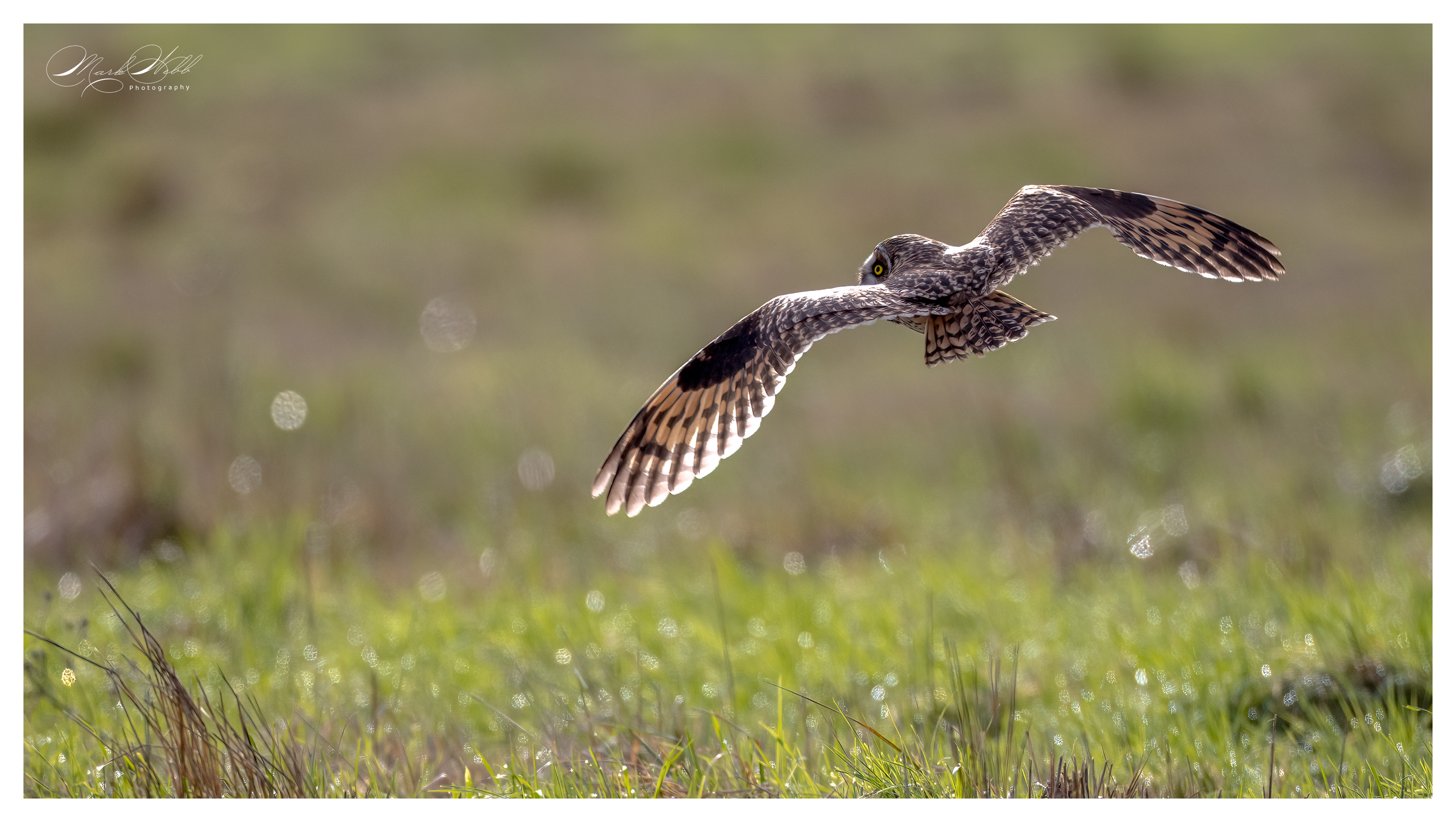 SEO Wallasea Island February 2024