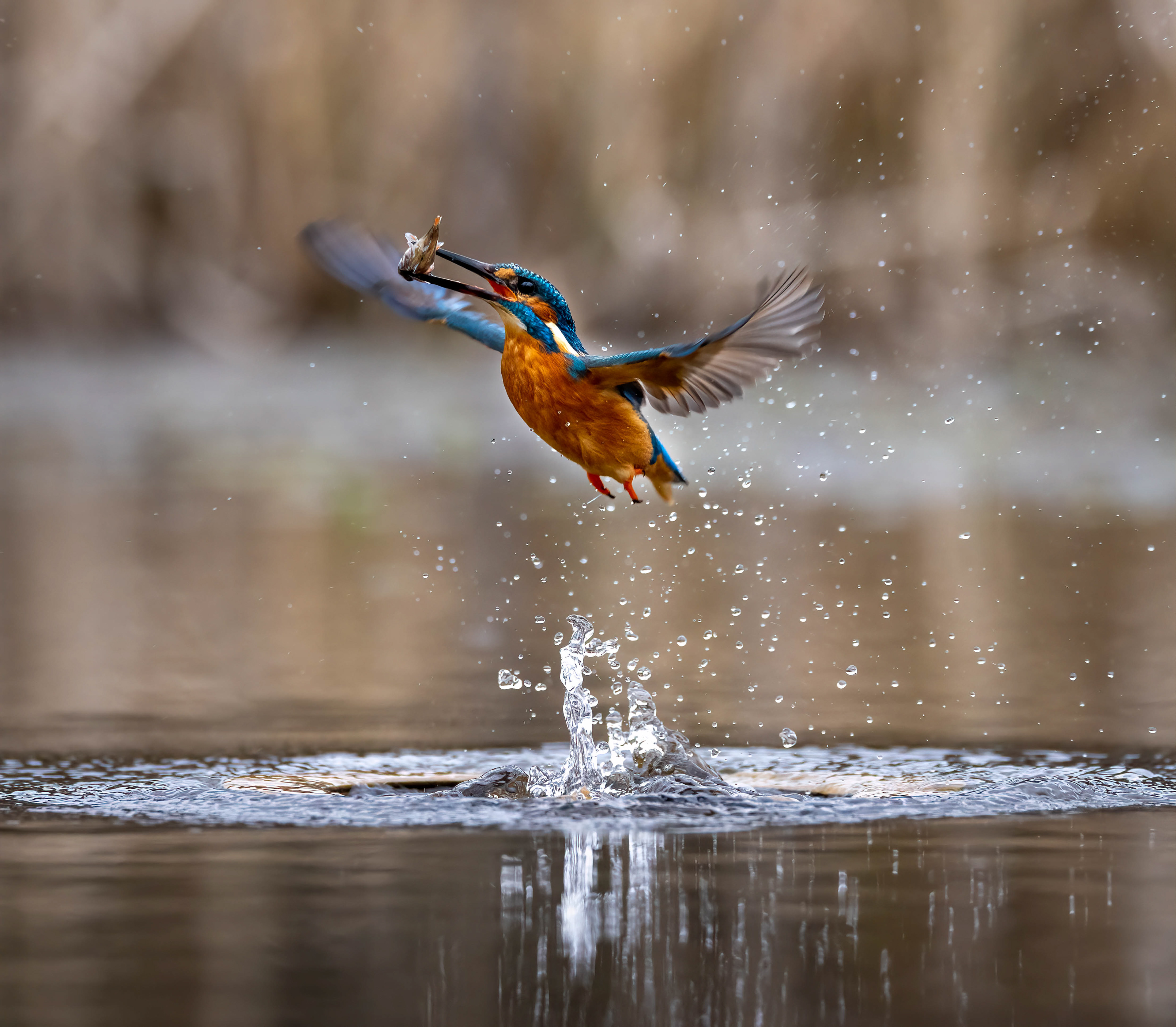 Wildlife Hides March 2023