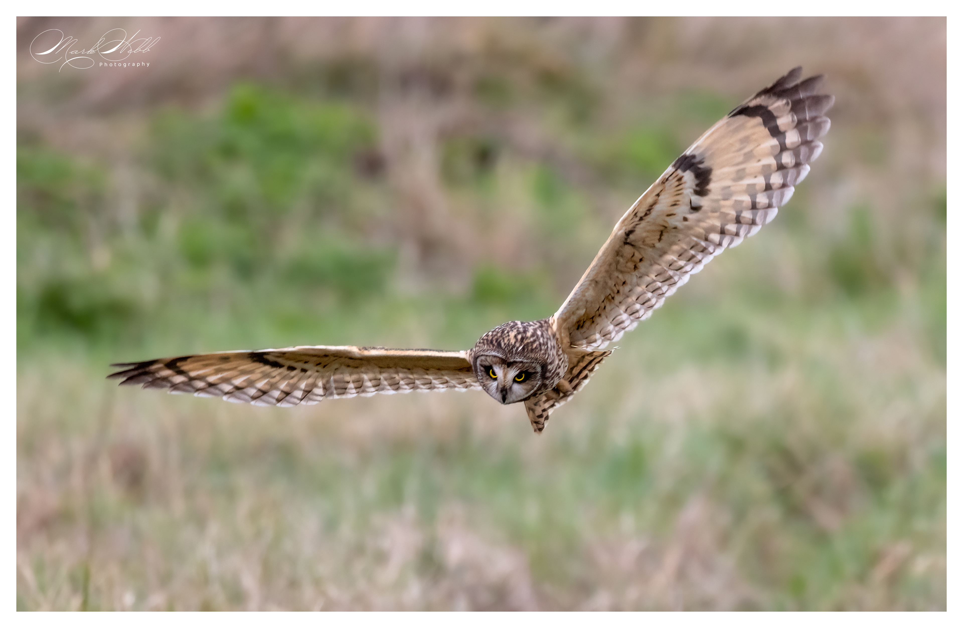 SEO Wallasea Island February 2024