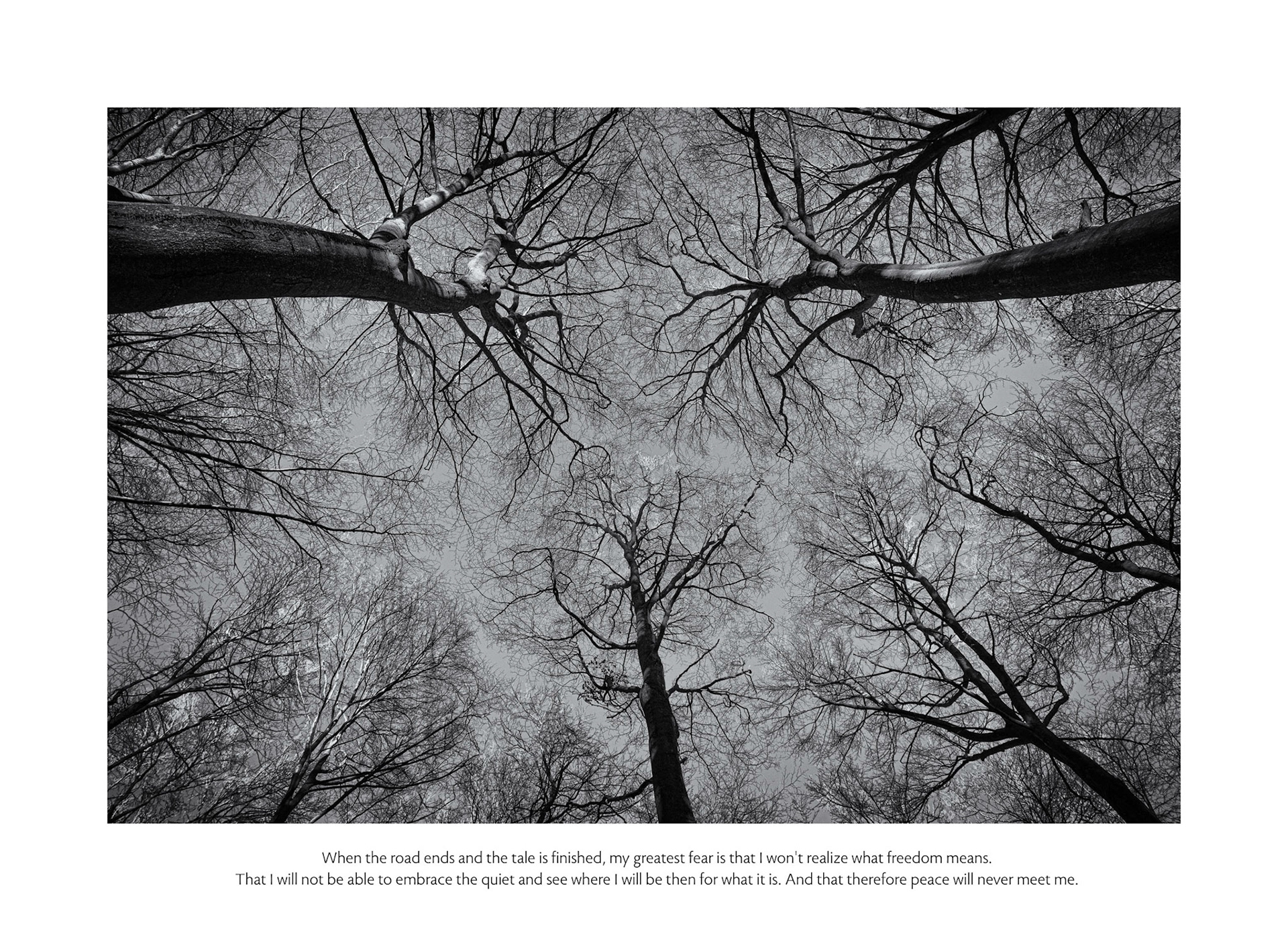 The Pillars Of The Earth
