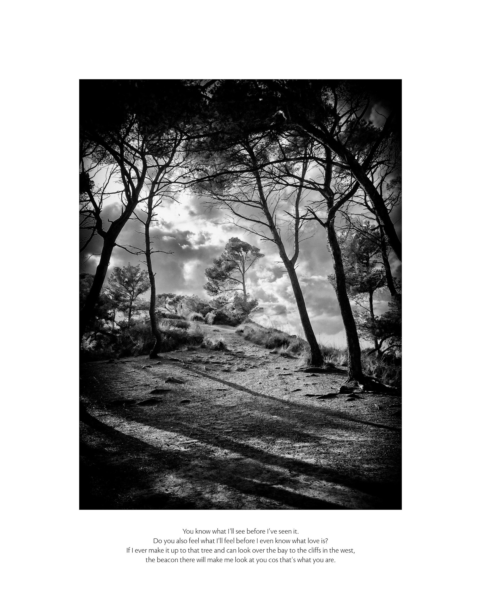 Lone Pine