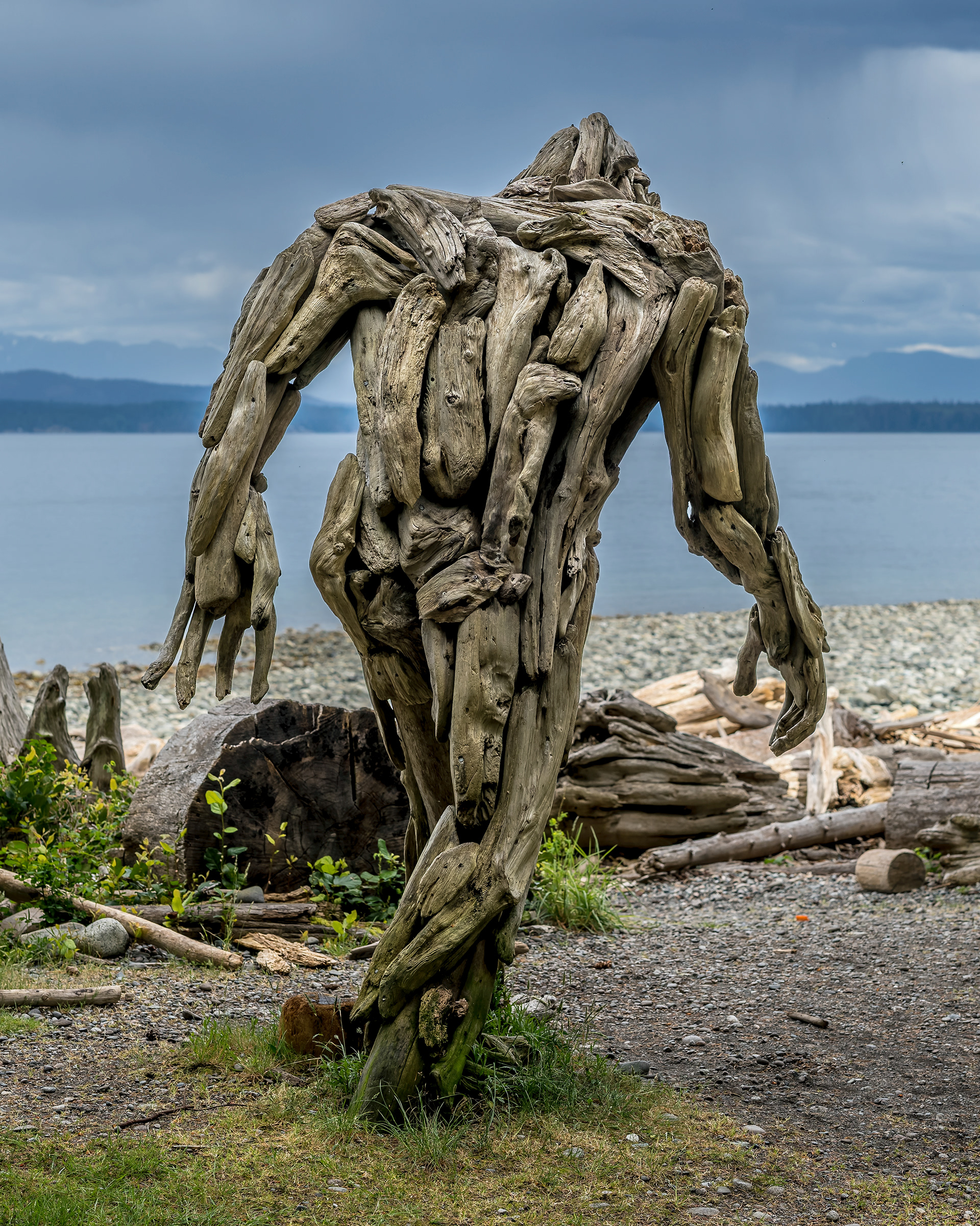 "Mayhew the Sasquatch," a remarkable life-sized driftwood sculpture by artist Alex Witcombe, standing along the wild shores of Quadra Island, British Columbia. Fine art coastal travel photography by Kevin Prentice.
