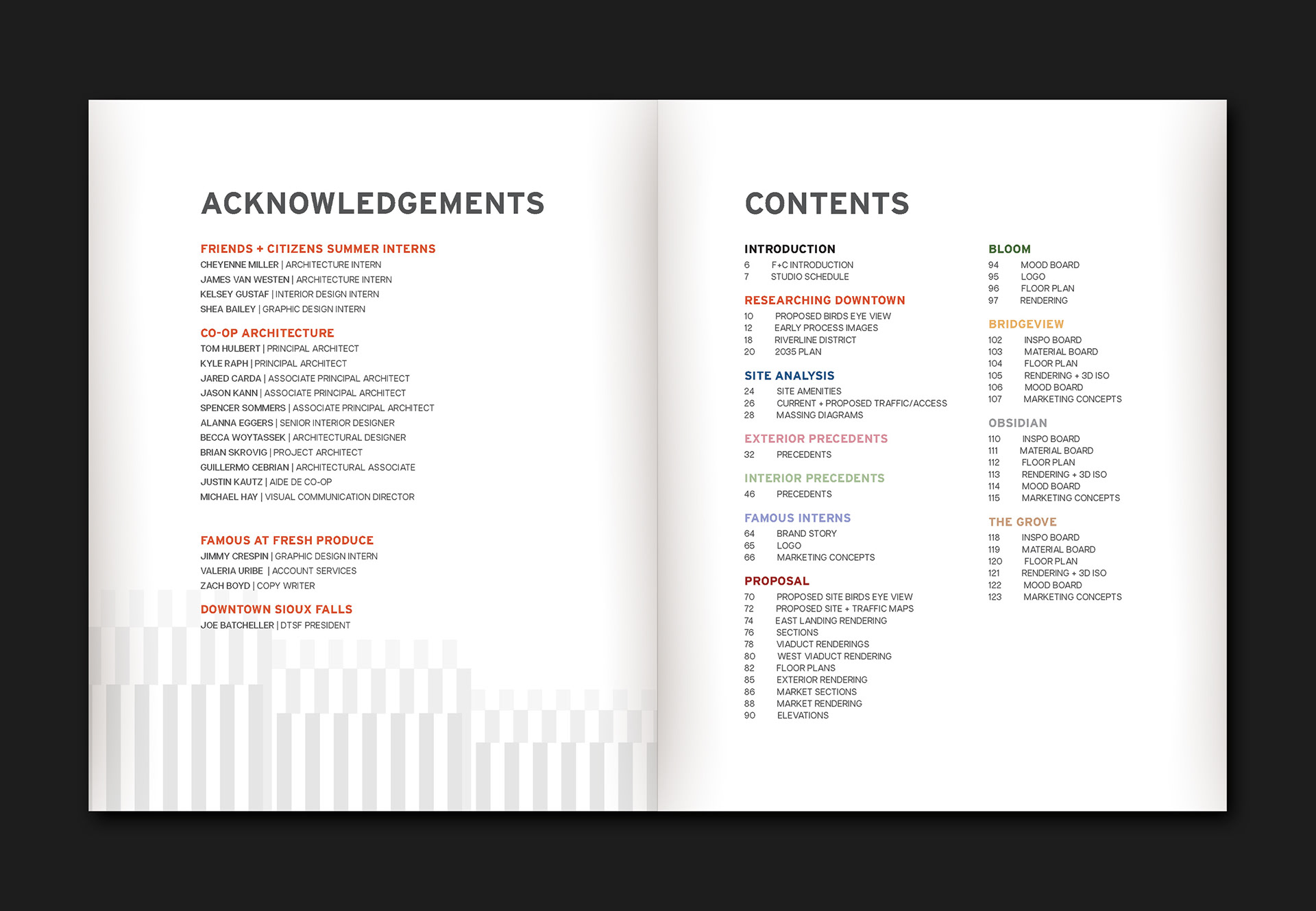 Acknowledgements + Table of Contents