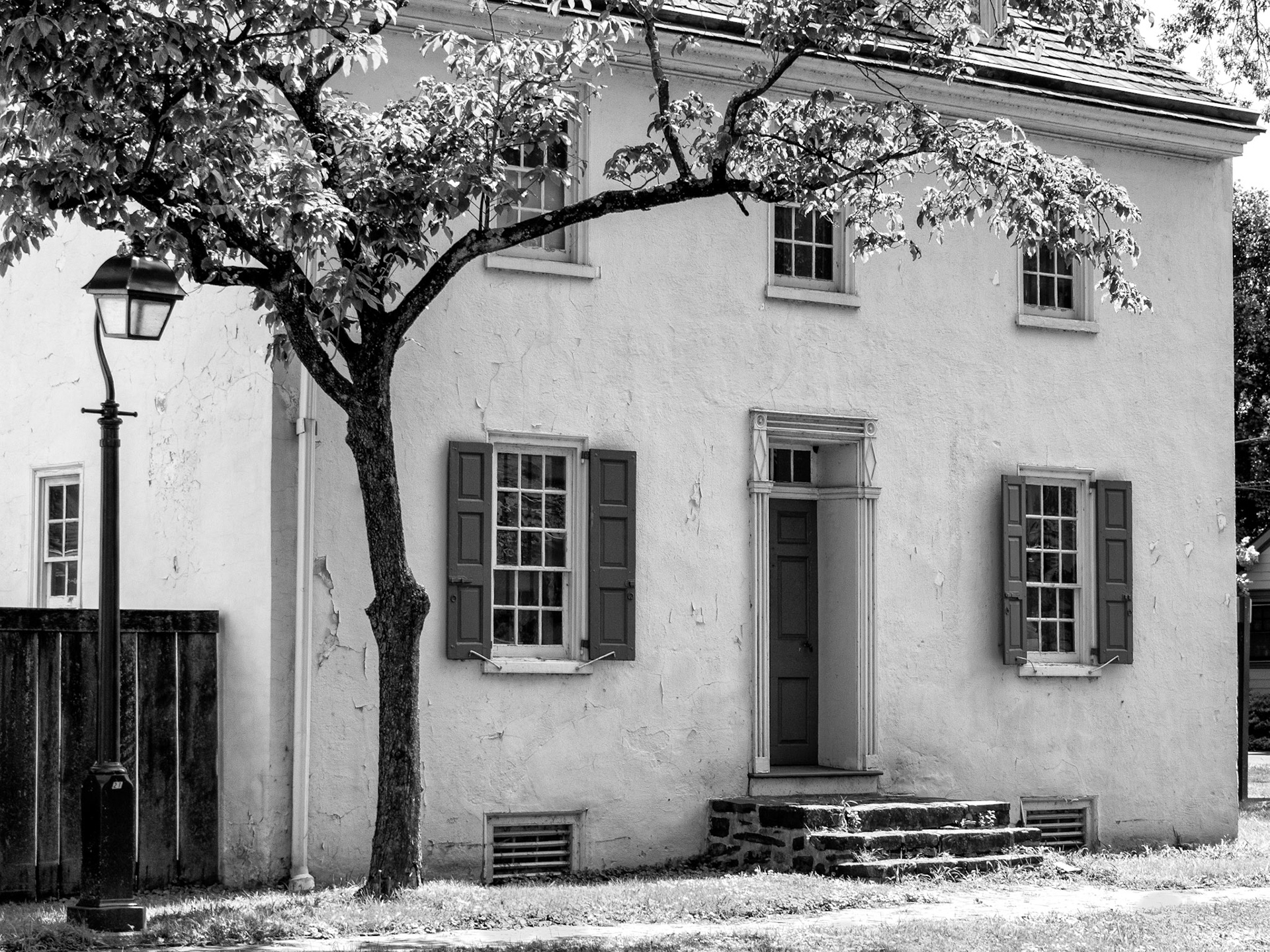 Black &amp; White 00168