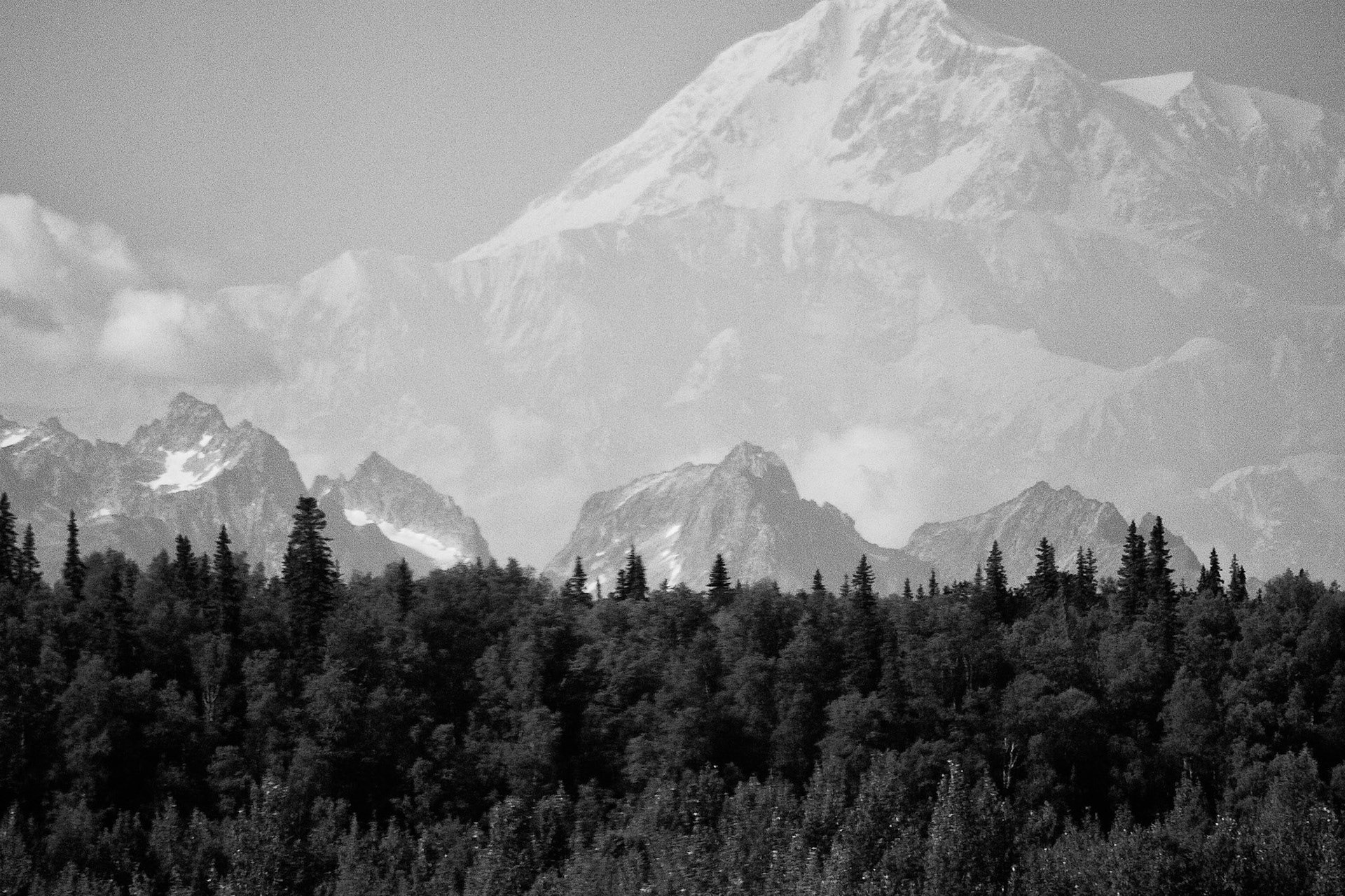 Black &amp; White 00068