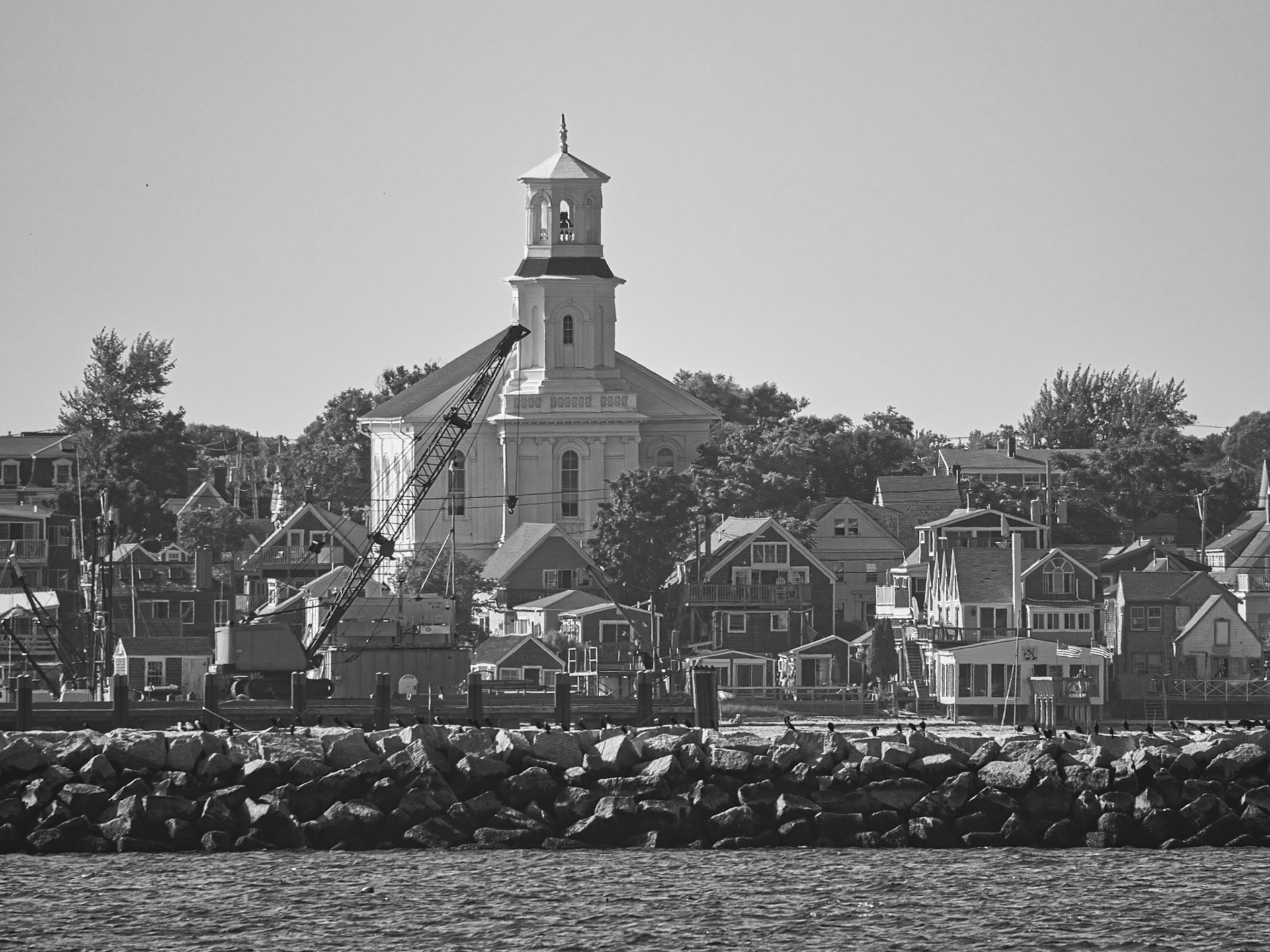 Black &amp; White 00305