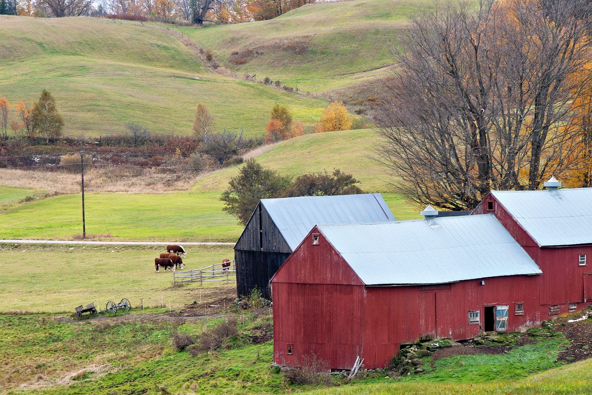 VT_20021028_0042_PS.dng