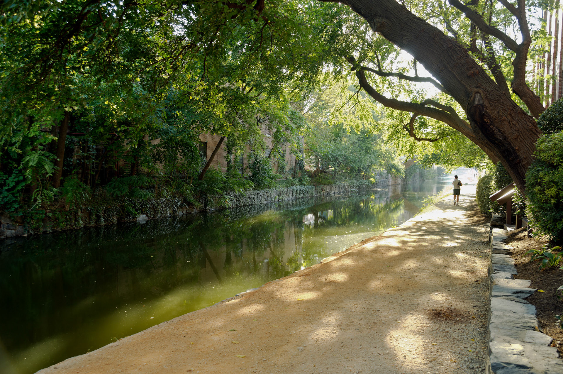 DC_20050913_0056_PS.dng