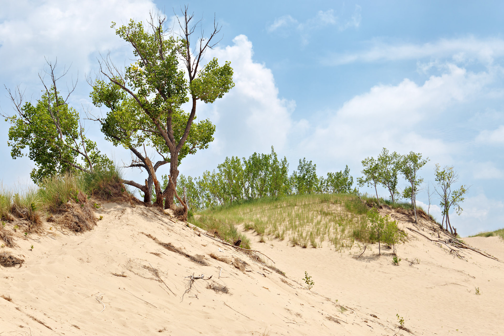 MI_New BuffaloArea_20150808_0118_PS.tif