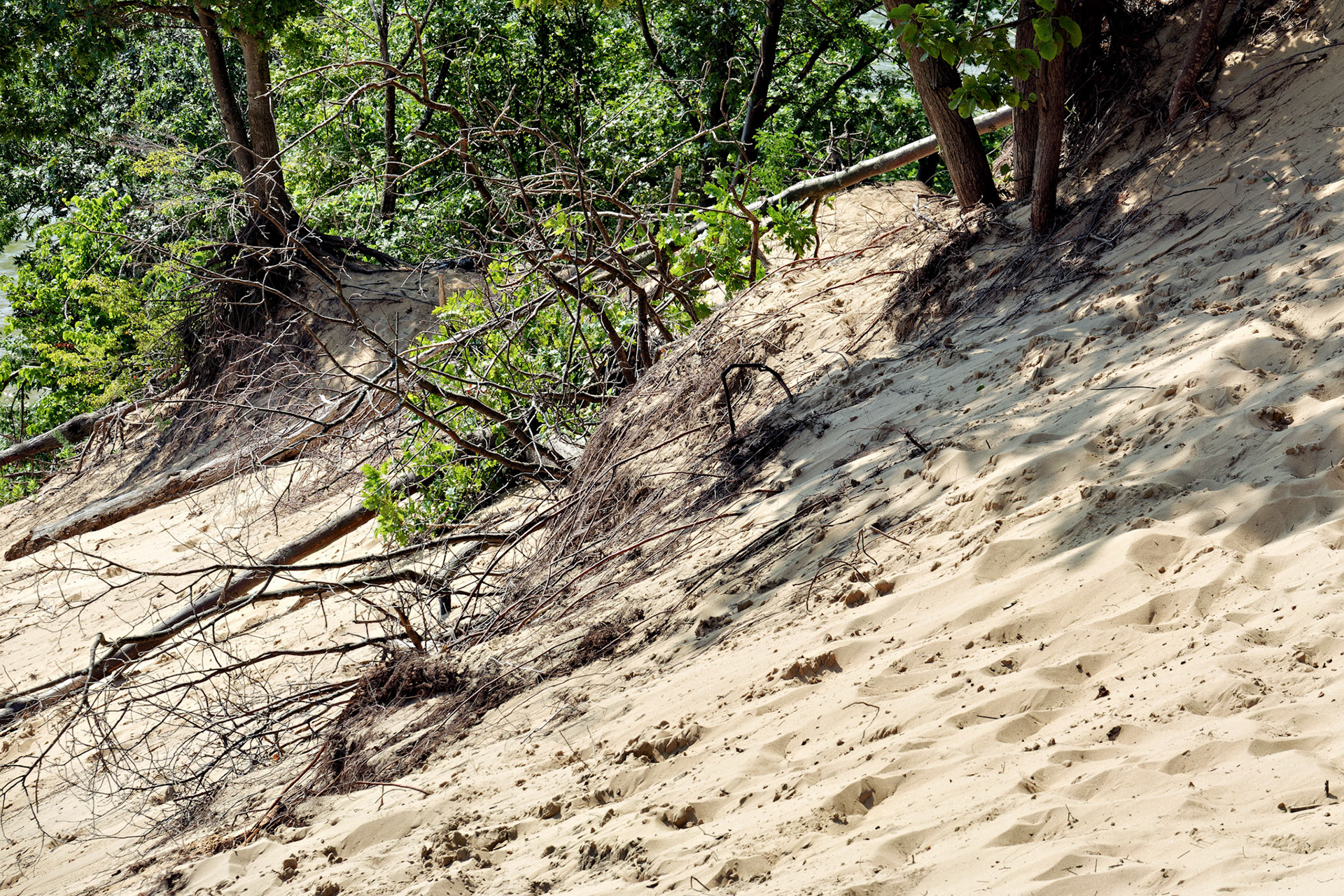 MI_New BuffaloArea_20170715_0252_PS.tif