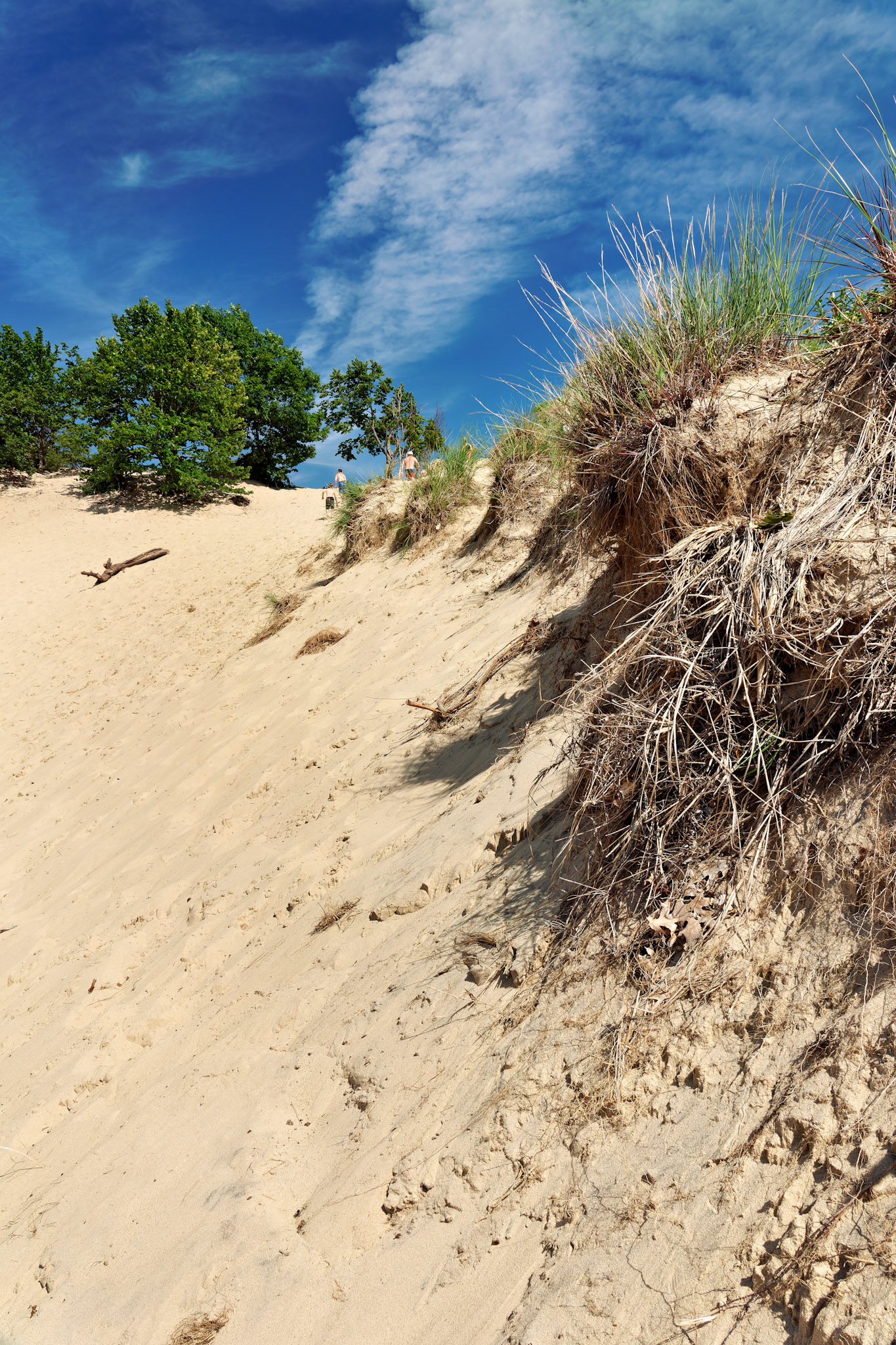 MI_New BuffaloArea_20170715_0234_PS.tif