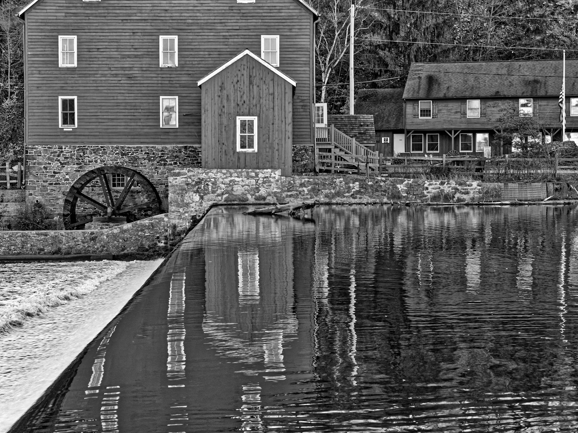 Black &amp; White 00026