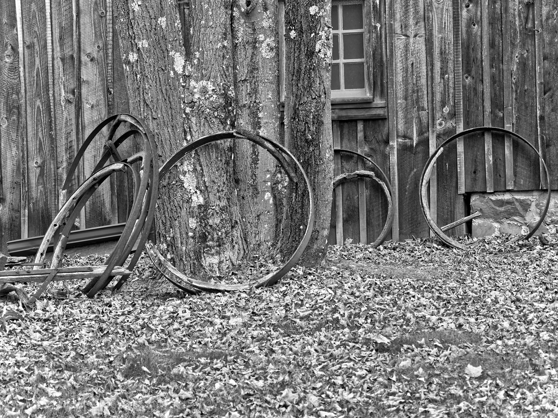 Black &amp; White 00008