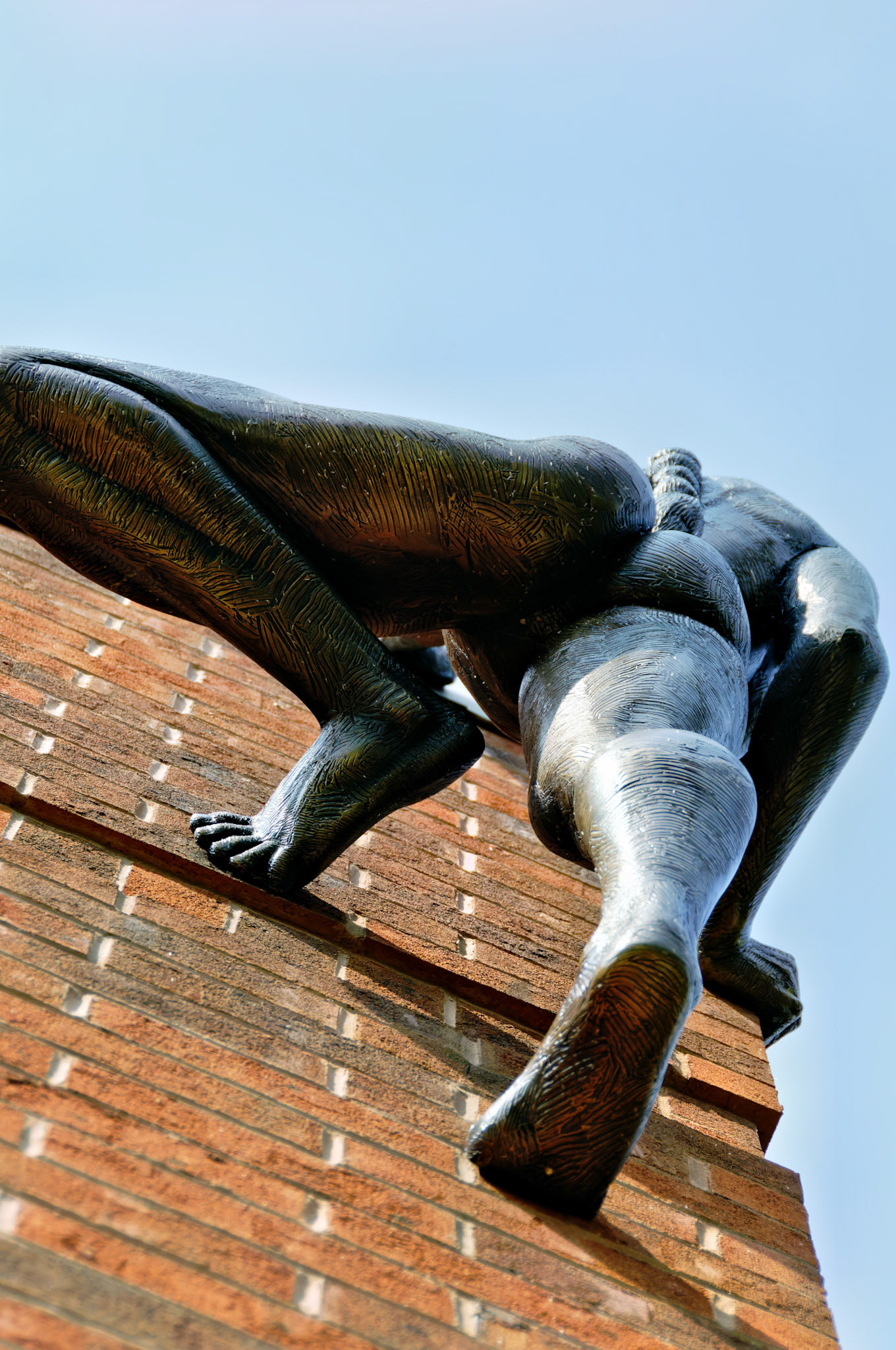 PA_GroundsForSculpture_20080814_0153_PS.dng