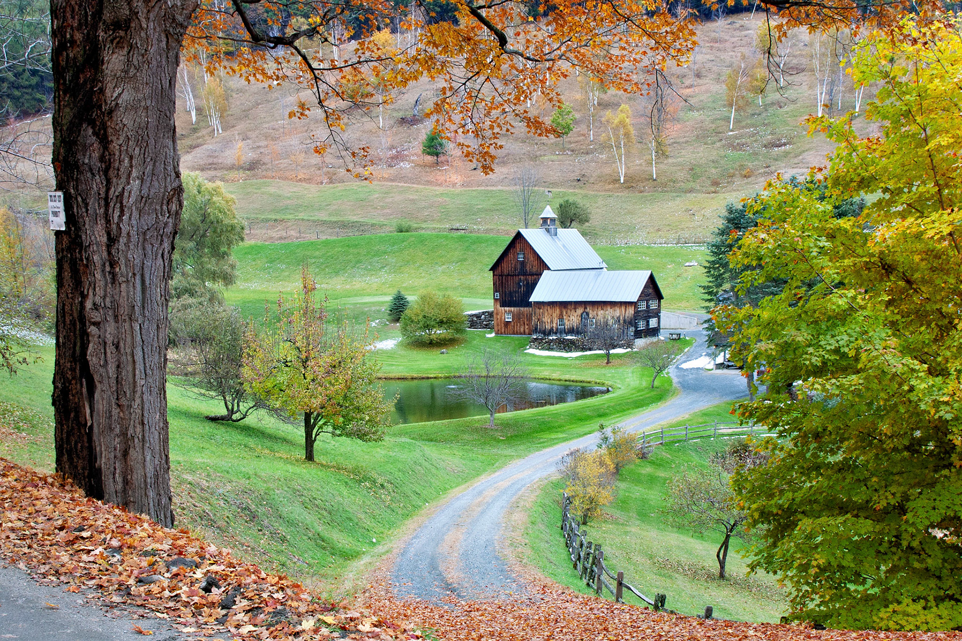 VT_20021028_0030_PS.dng