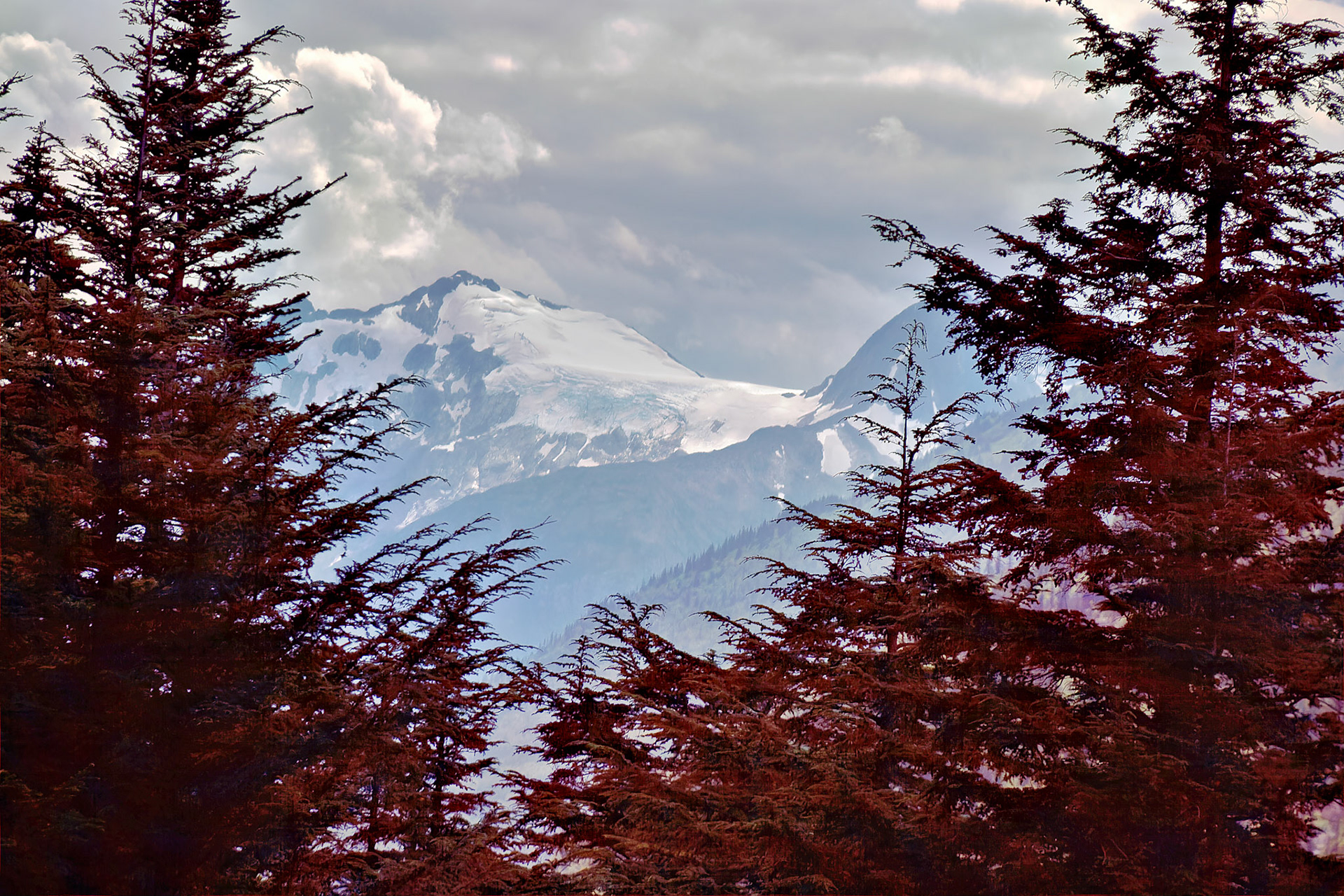 AK_20030801_0335_PS.dng