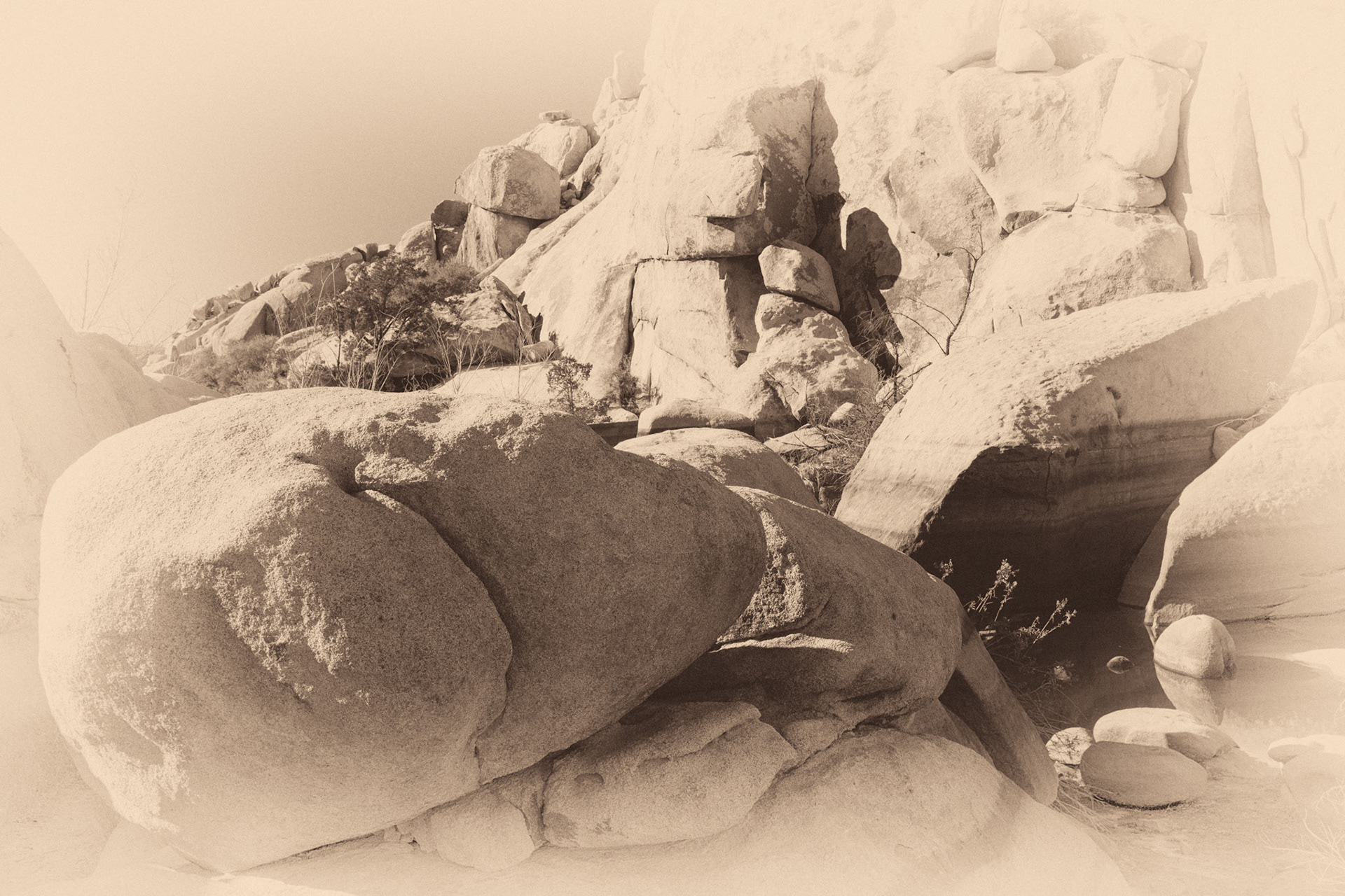 Black &amp; White 00095