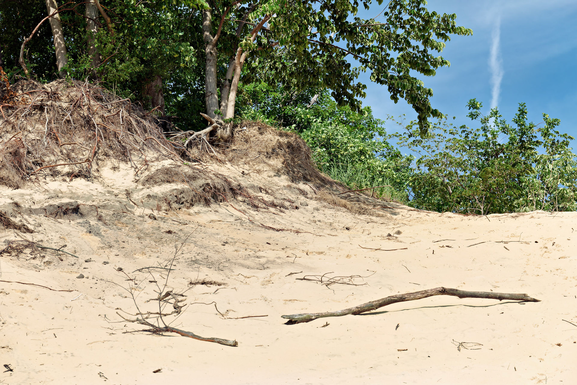 MI_New BuffaloArea_20170715_0260_PS.tif