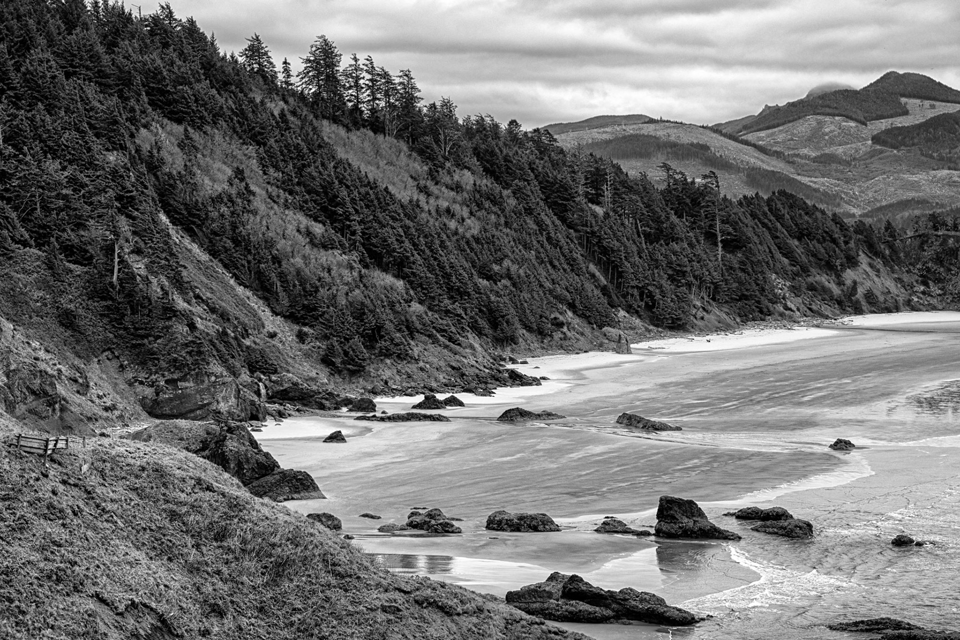 Black &amp; White 00157