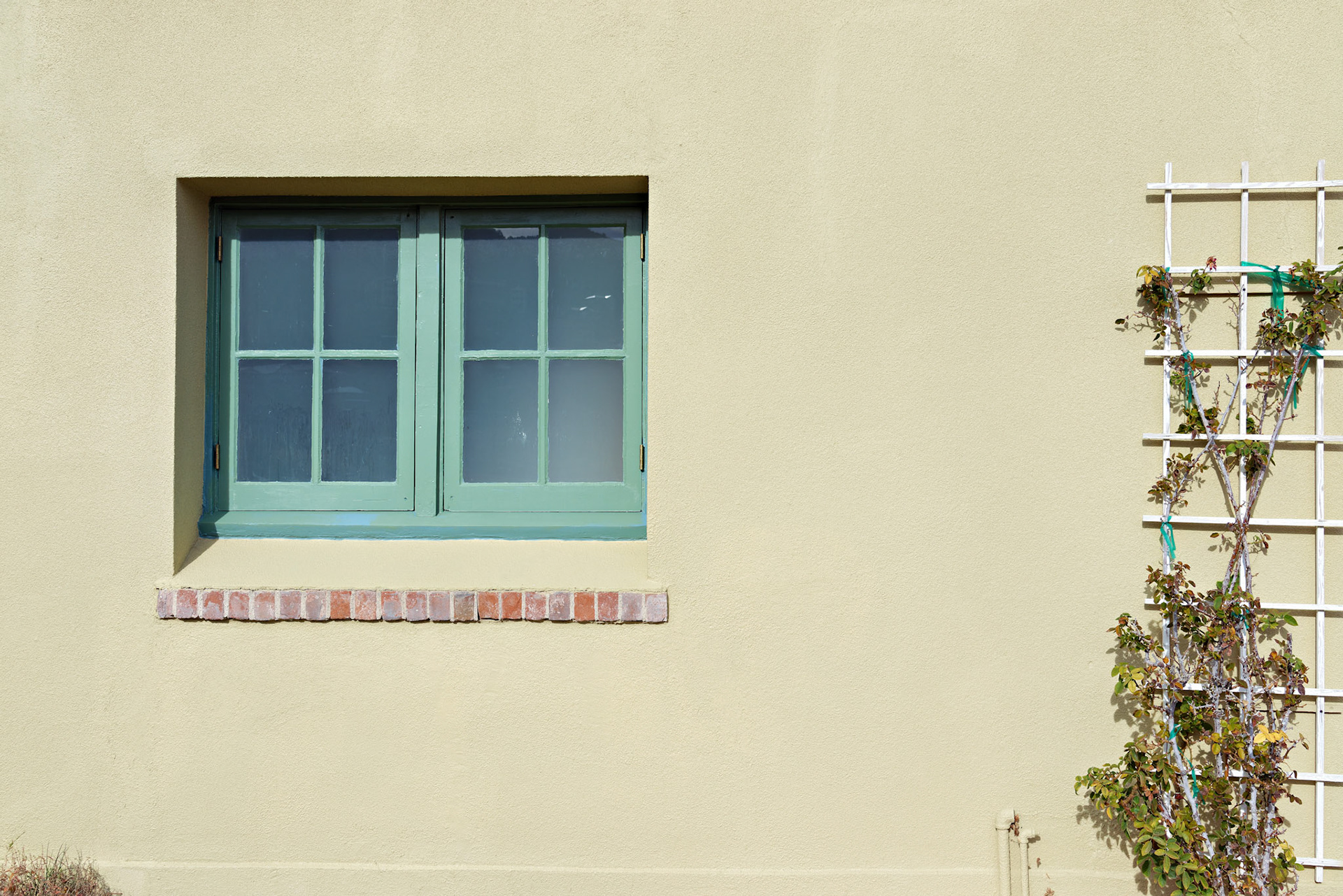 AZ_20121212_0626_PS.dng