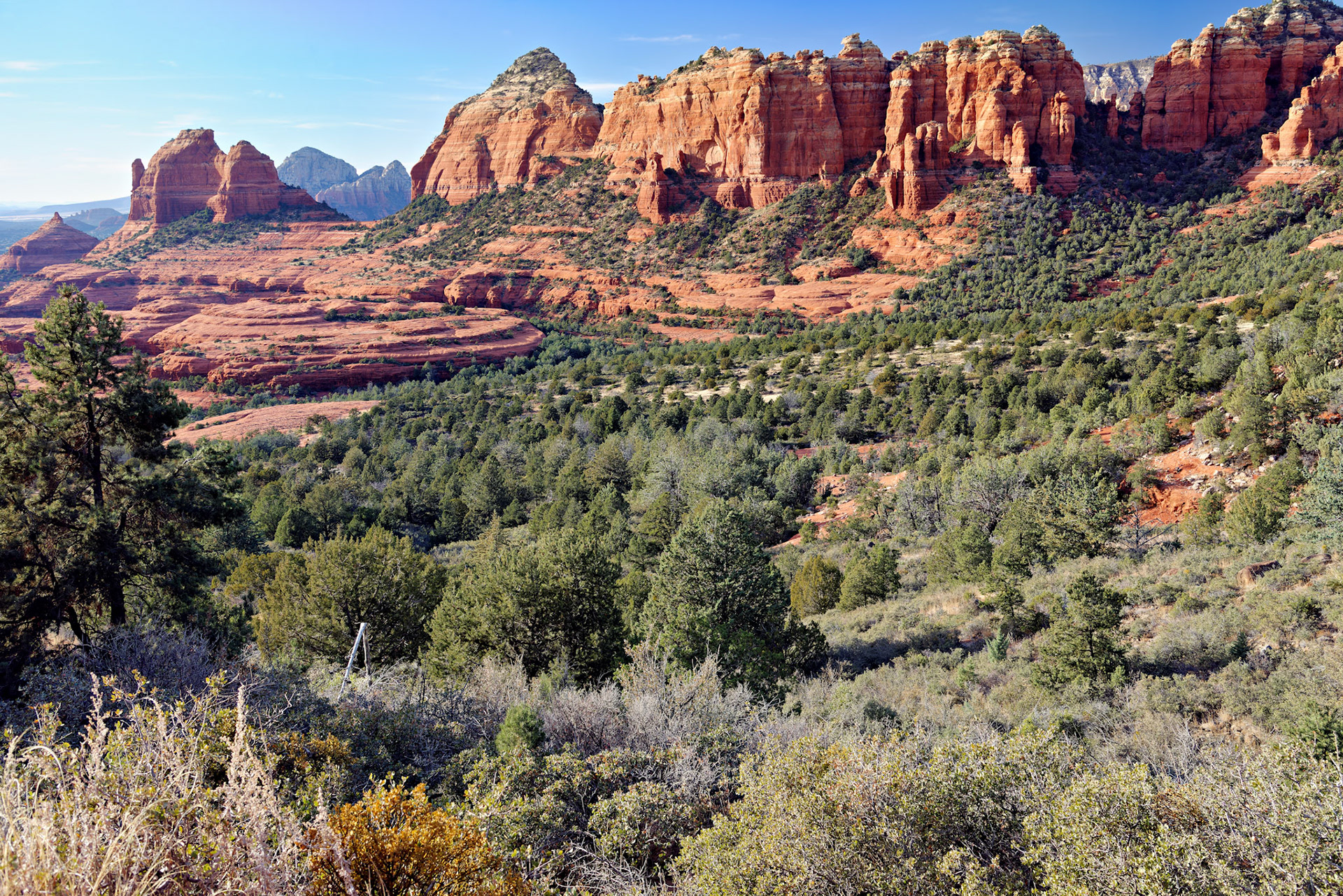 AZ_20121211_0570_PS.dng