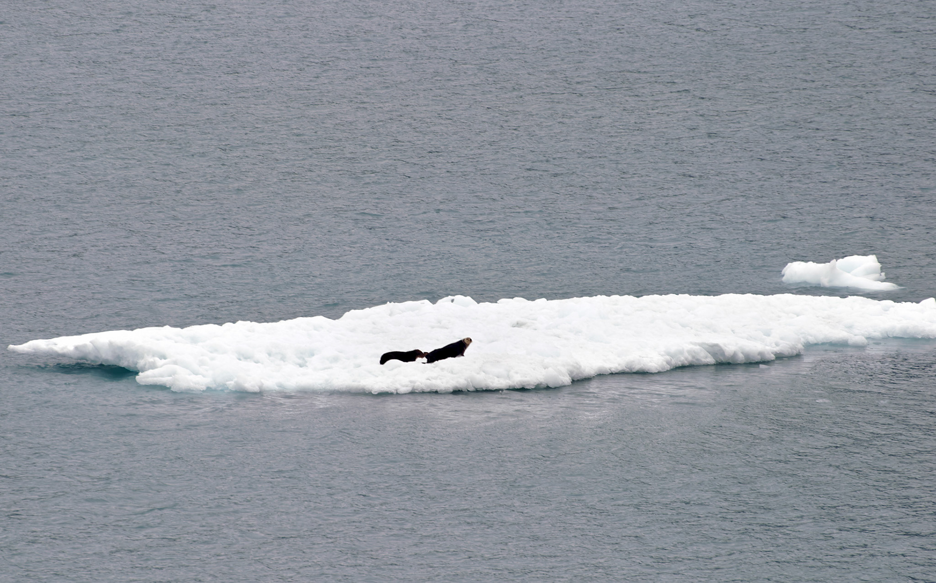 AK_20030803_0469_PS.dng