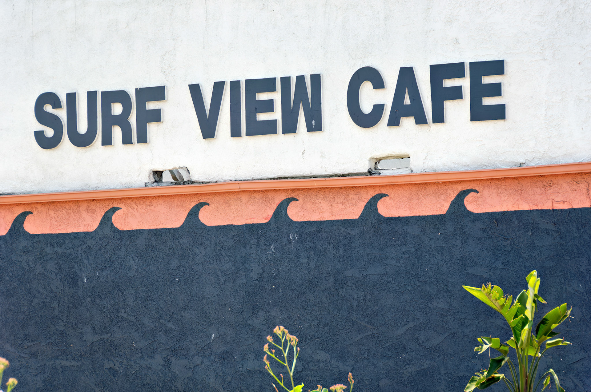 CA_LA_20060504_0313_PS.dng