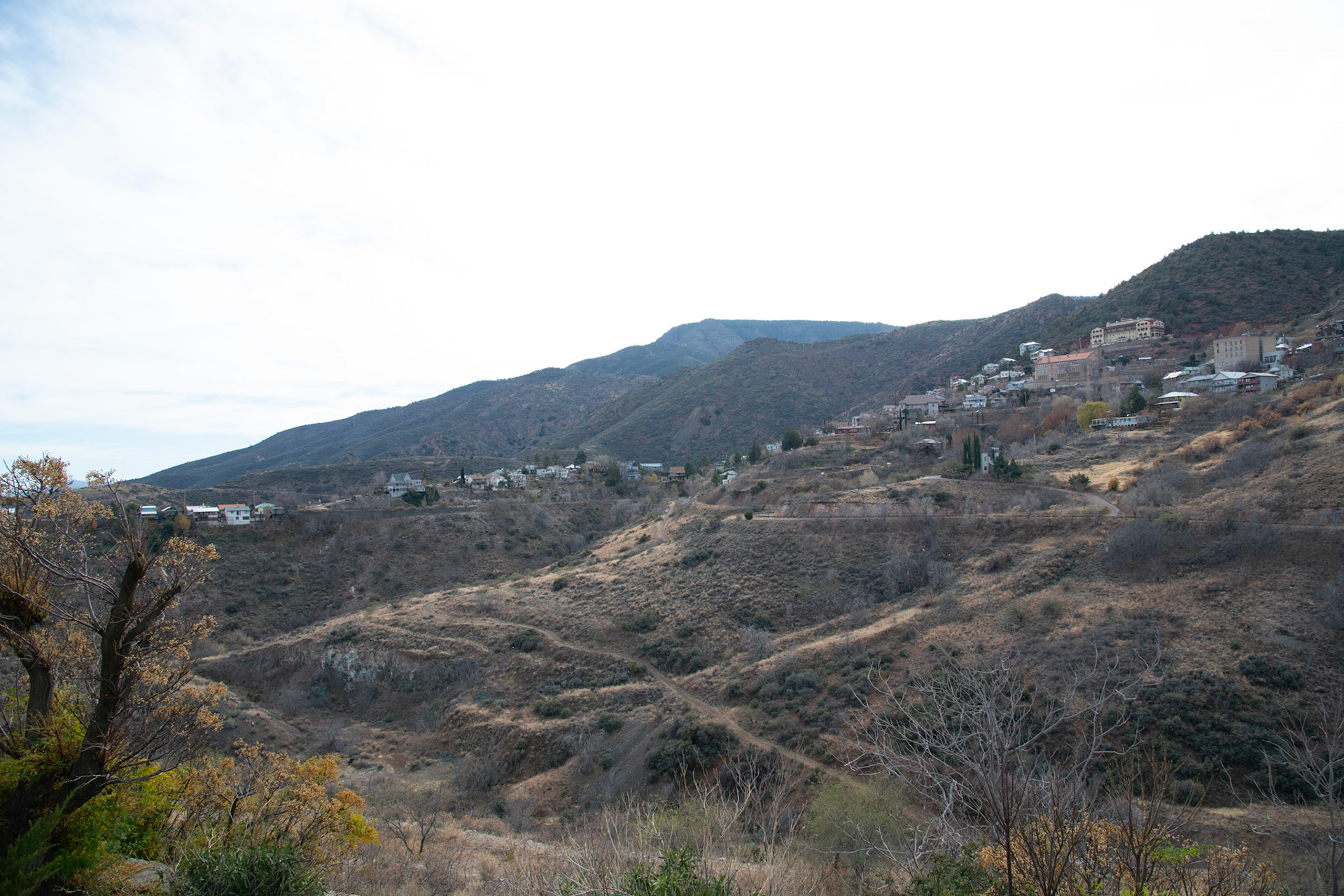 20121212_a854.NEF