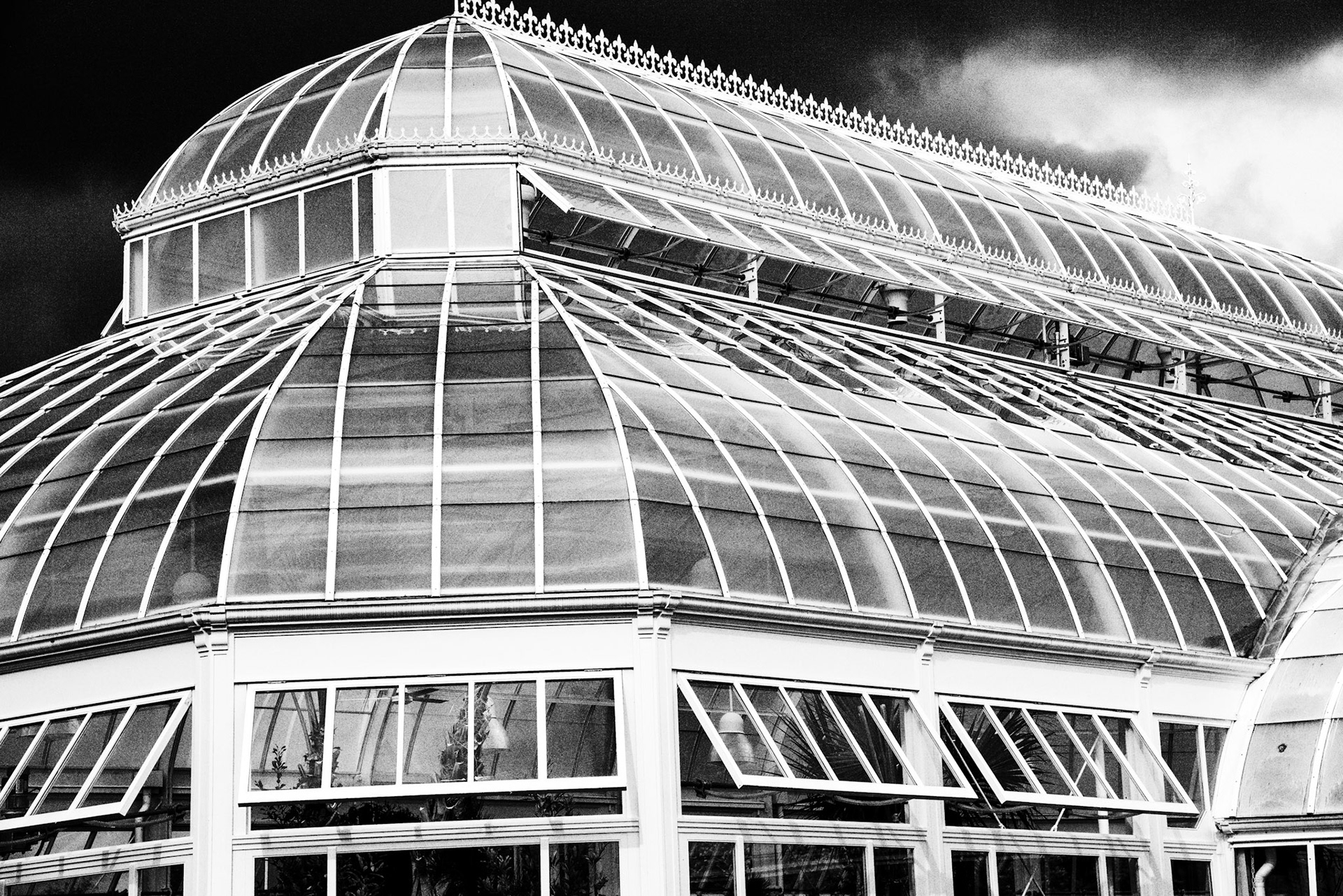 Black &amp; White 00227