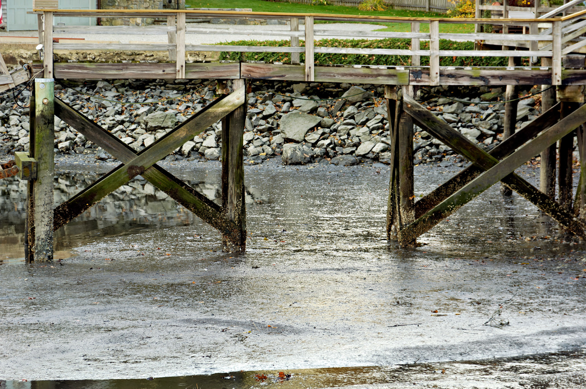 CT_20051102_0081_PS.dng