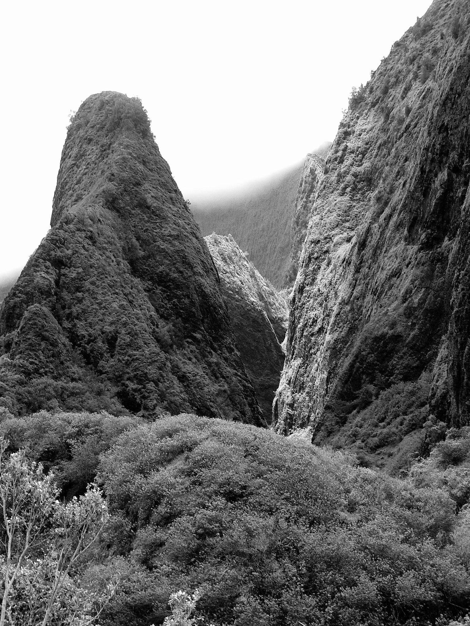 Black &amp; White Photos