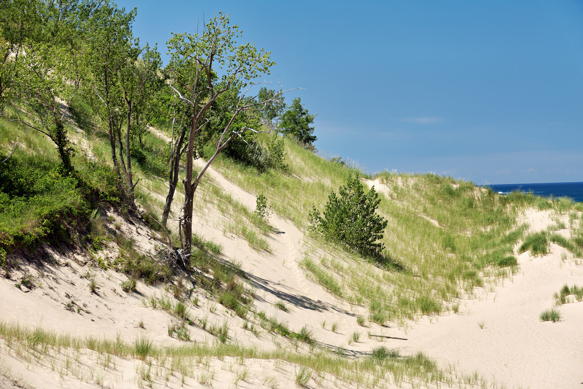 MI_New BuffaloArea_20160808_0157_PS.tif