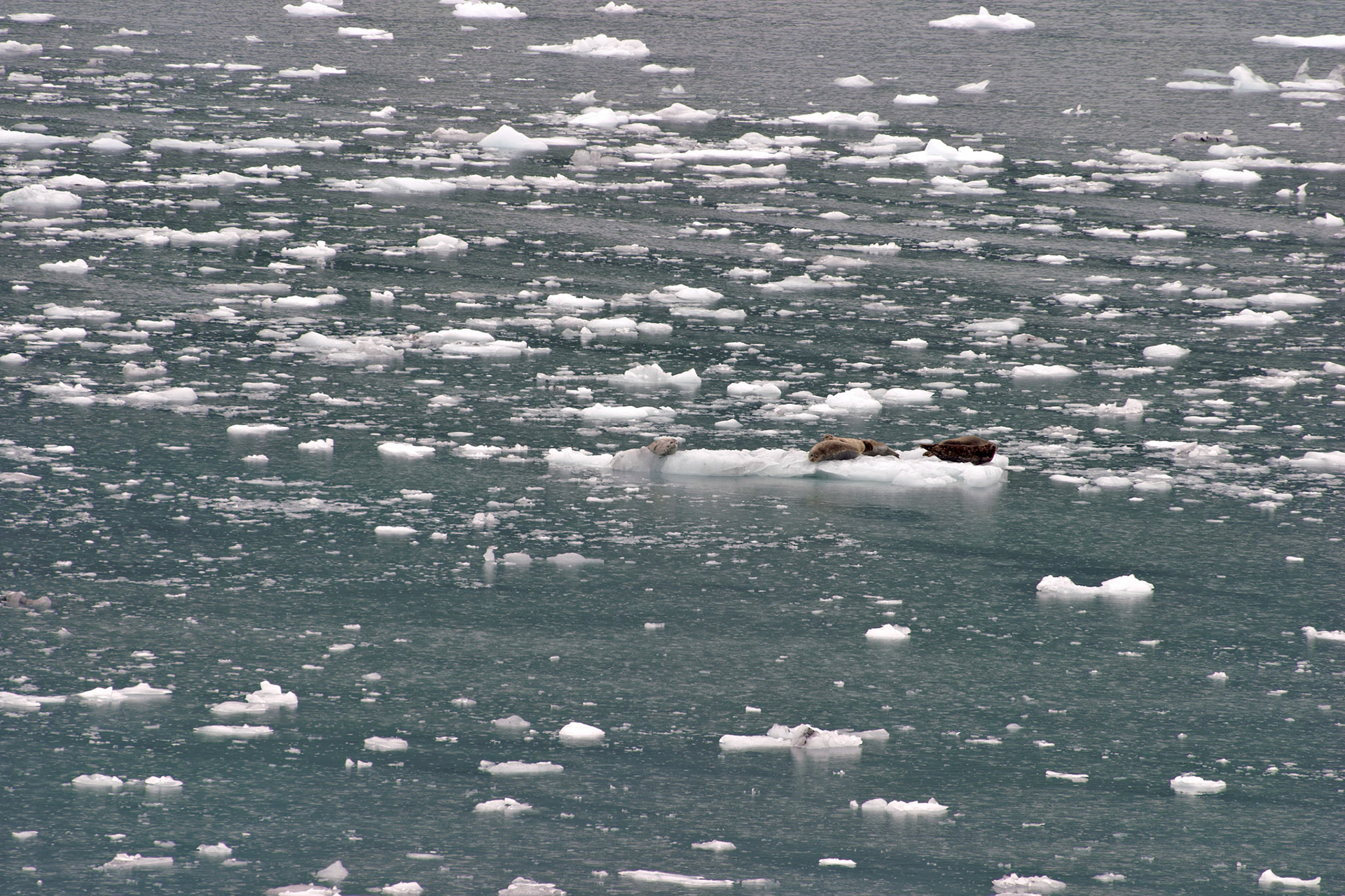 AK_20030803_0478_PS.dng