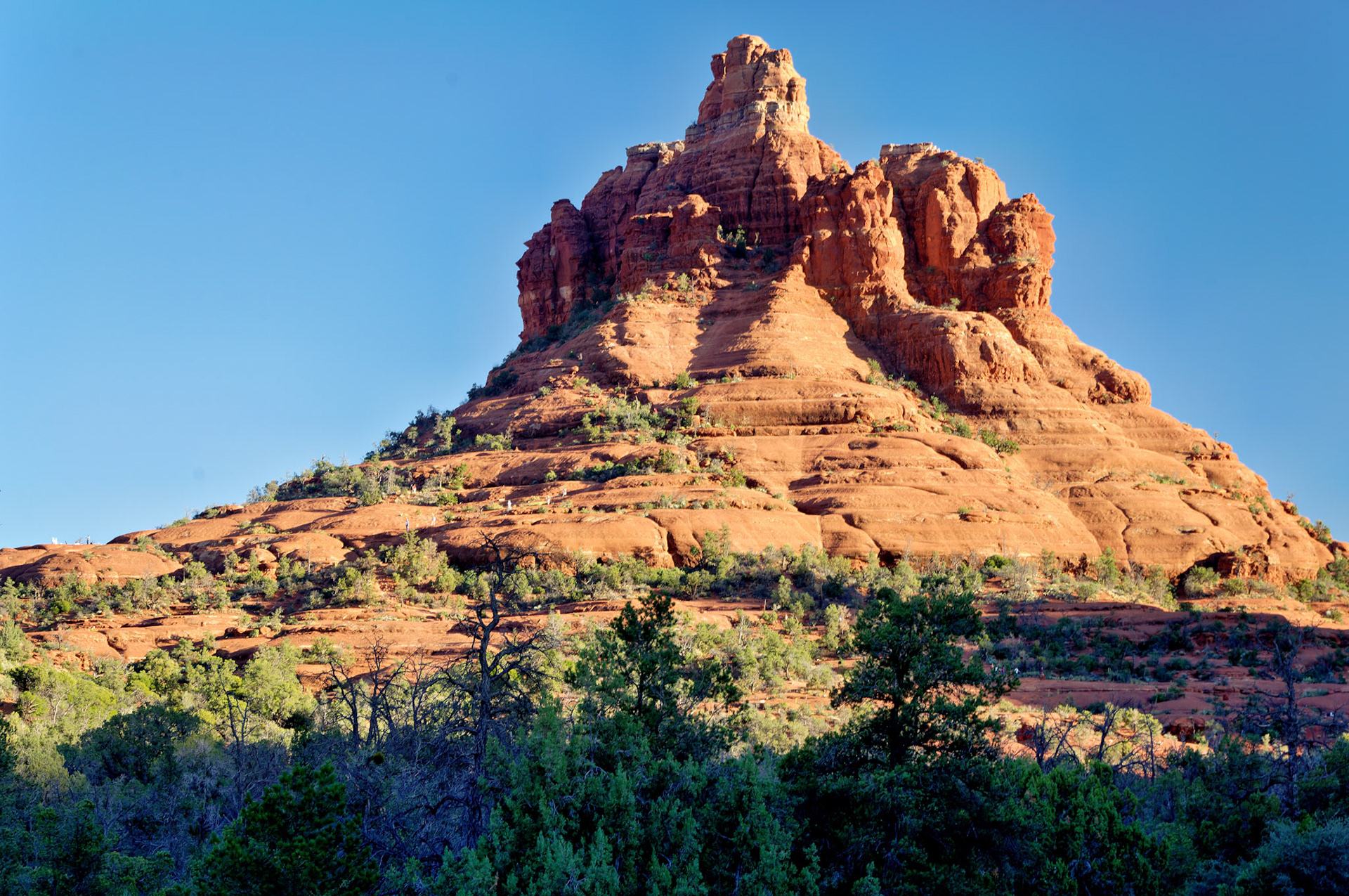 AZ_20060917_0133_PS.dng