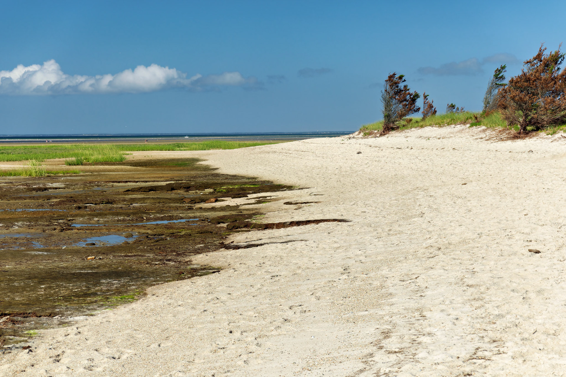 MA_CapeCod_20180724_0381_PS.dng