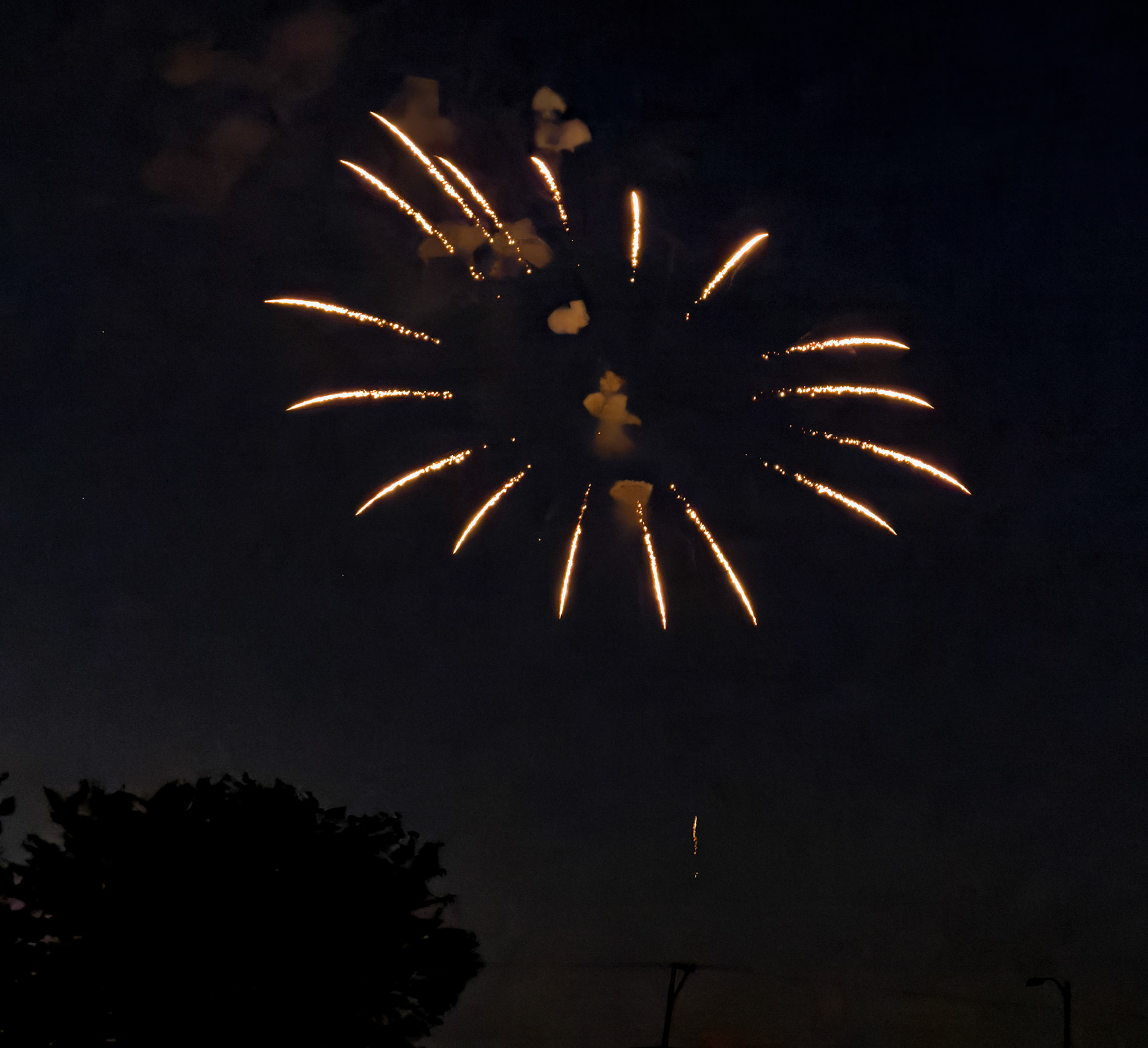 20240704__FXT0769.tif