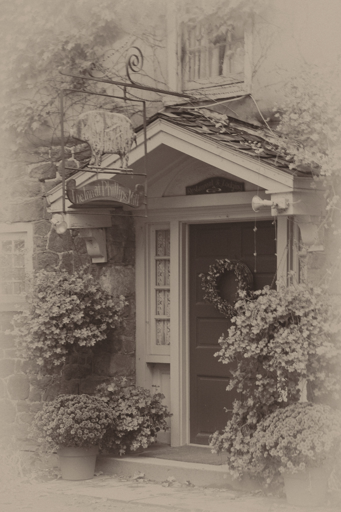 Black &amp; White 00124