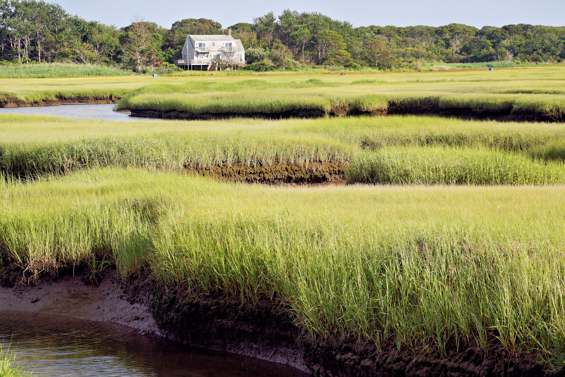 MA_CapeCod_20150717_0258_PS.dng