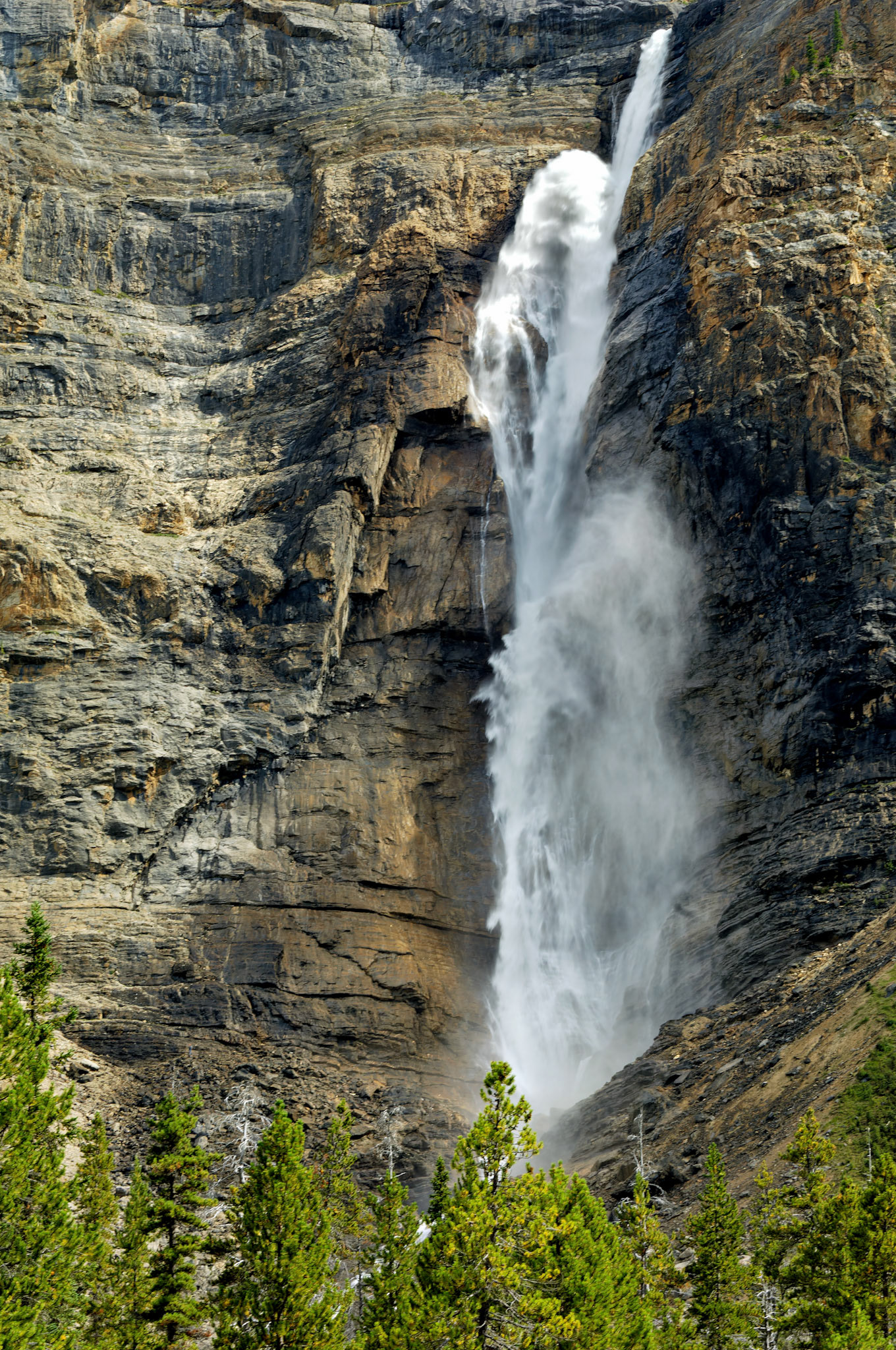 CN_20060803_0334_PS.dng