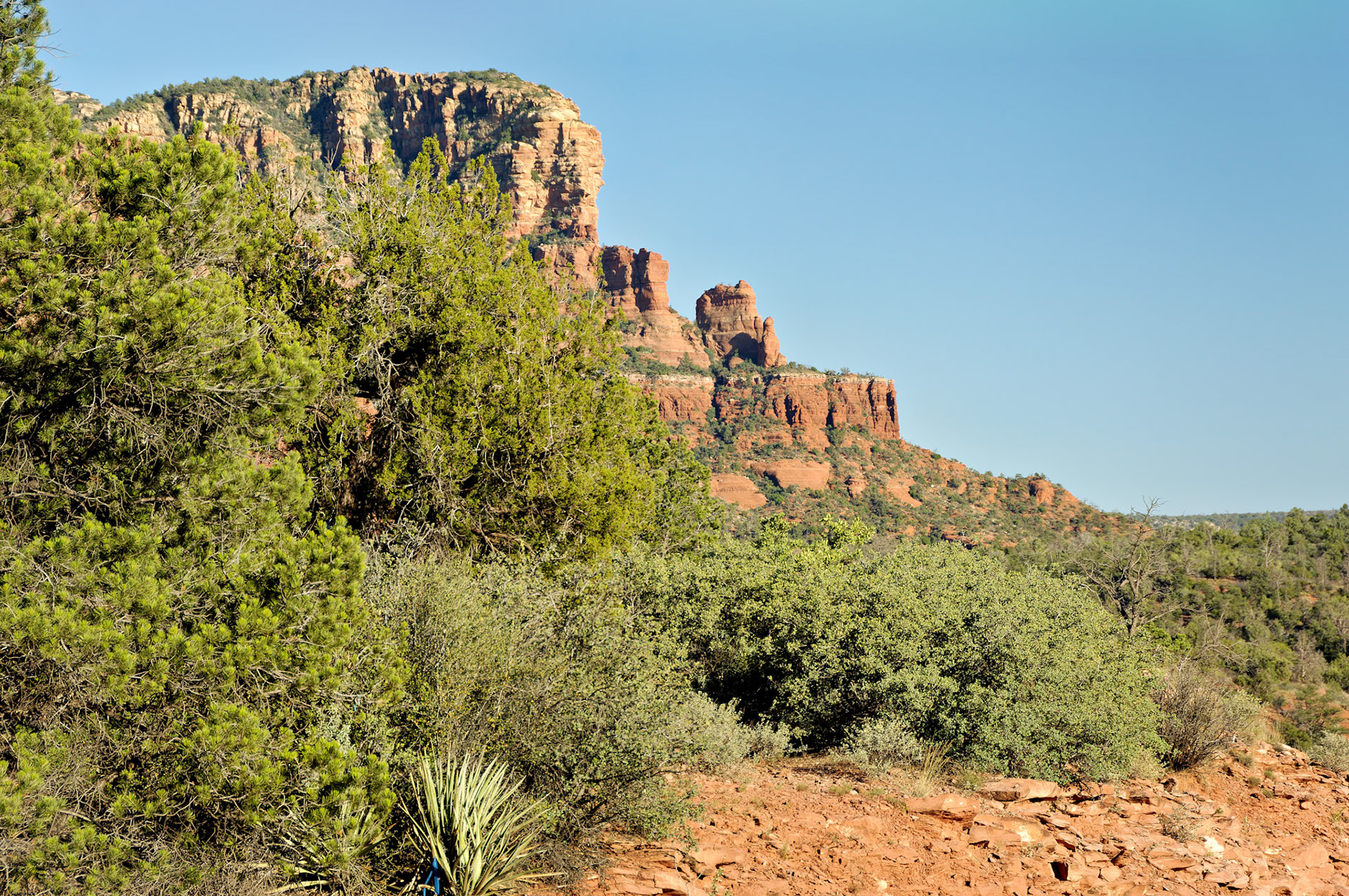 AZ_20060917_0123_PS.dng