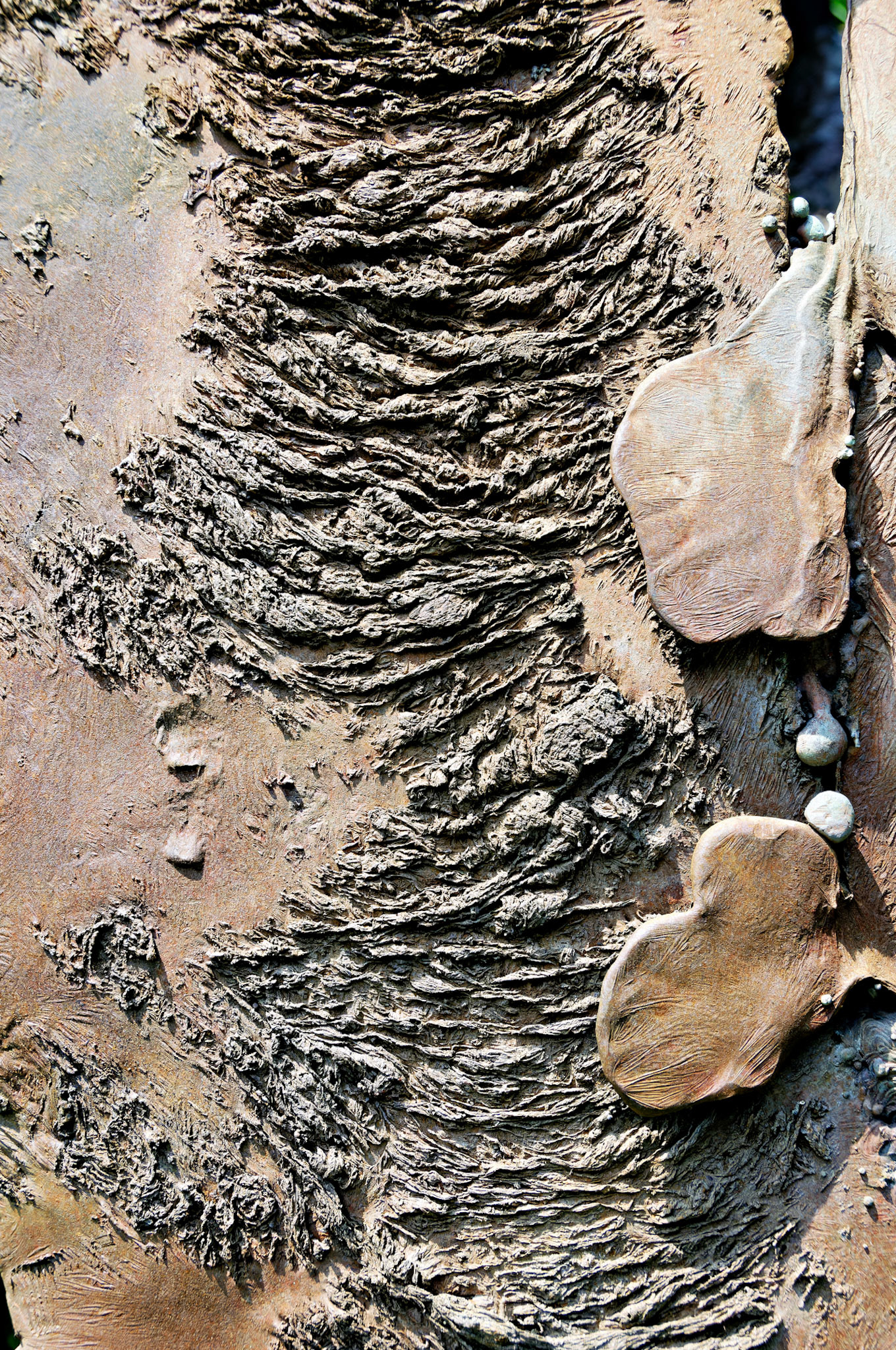 PA_GroundsForSculpture_20080814_0056_PS.dng