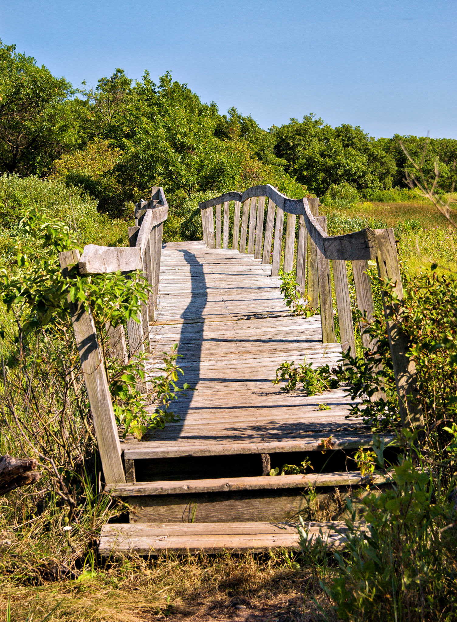 VA_20020818_0002_PS.dng