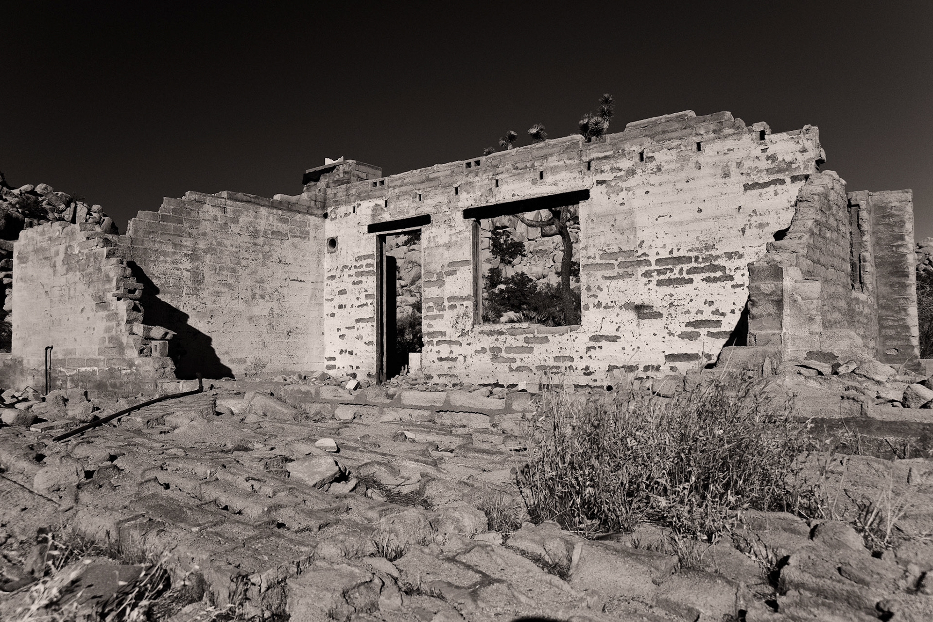 Black &amp; White 00108